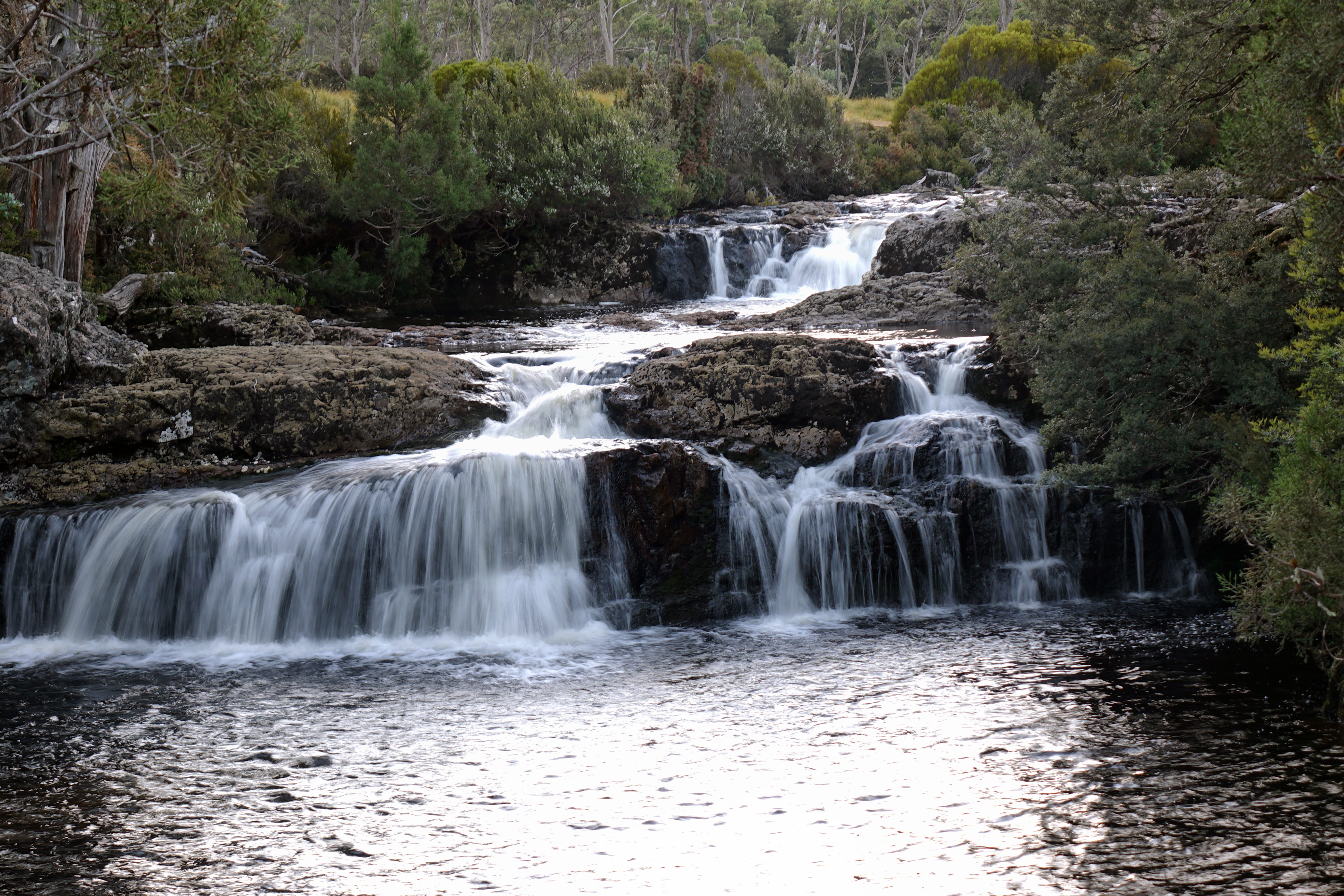flowing, national park, river, plant, tree, waterfall, no people, flowing water, motion, water, australia, beauty in nature, blurred motion, nature, non-urban scene, HD Wallpaper