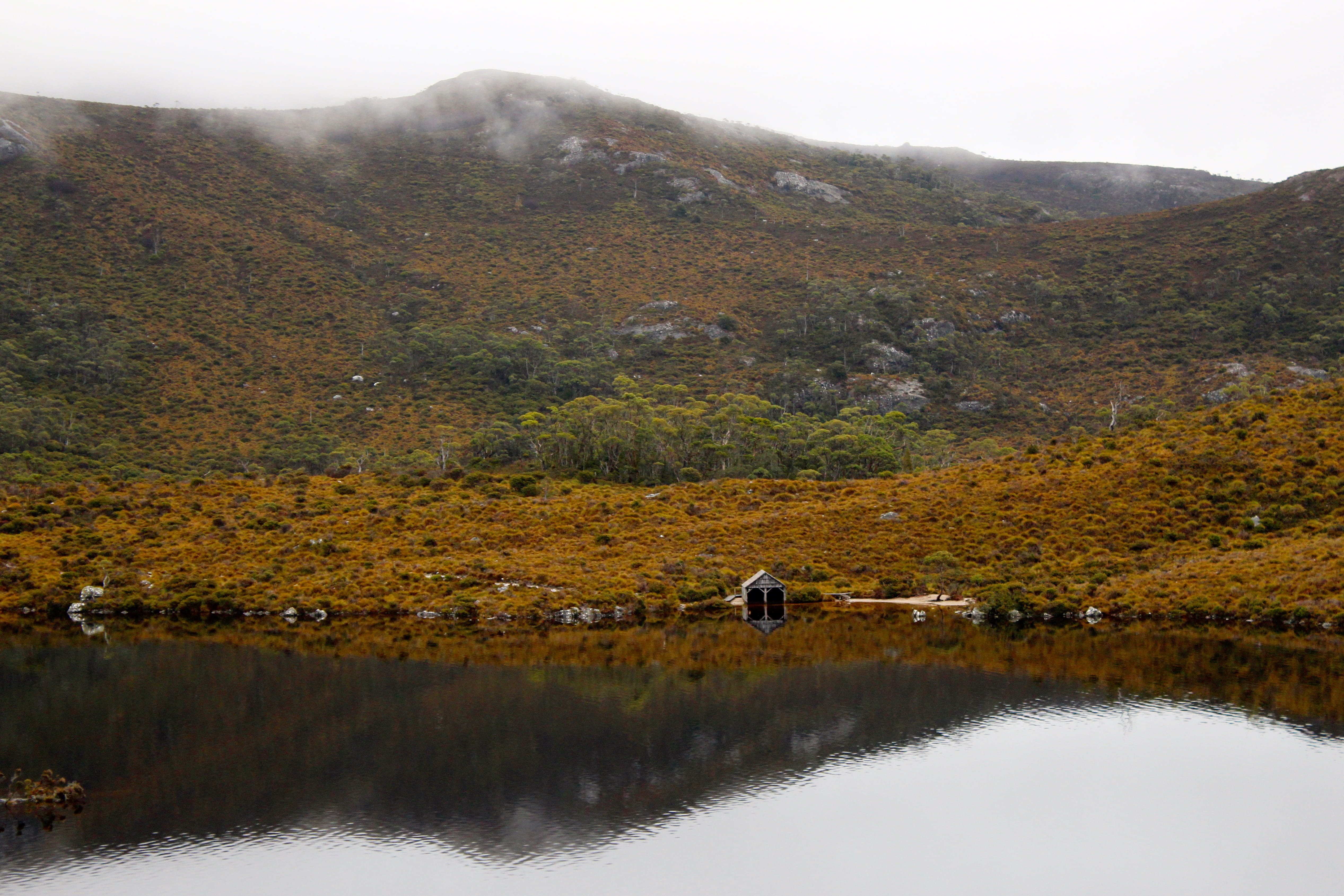 outdoors, mountain, day, water, no people, 4K, mountains, beauty in nature, change, tree, lake, australia, cradle mountain, plant, animal, land, non-urban scene, HD Wallpaper