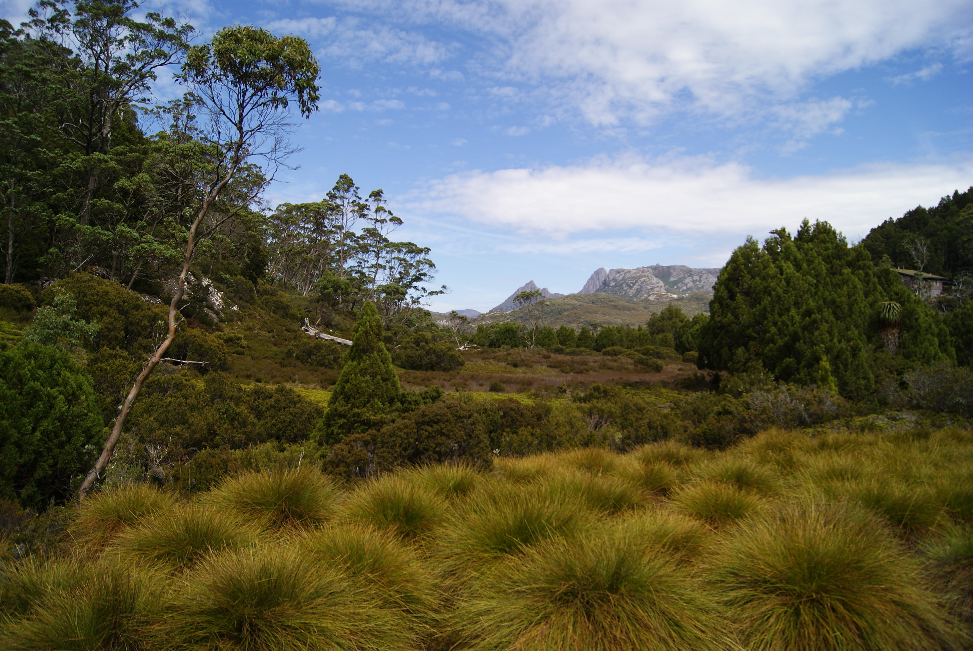 national park, sky, outdoors, non-urban scene, australia, day, land, tranquility, environment, growth, plant, cloud - sky, green color, beauty in nature, HD Wallpaper