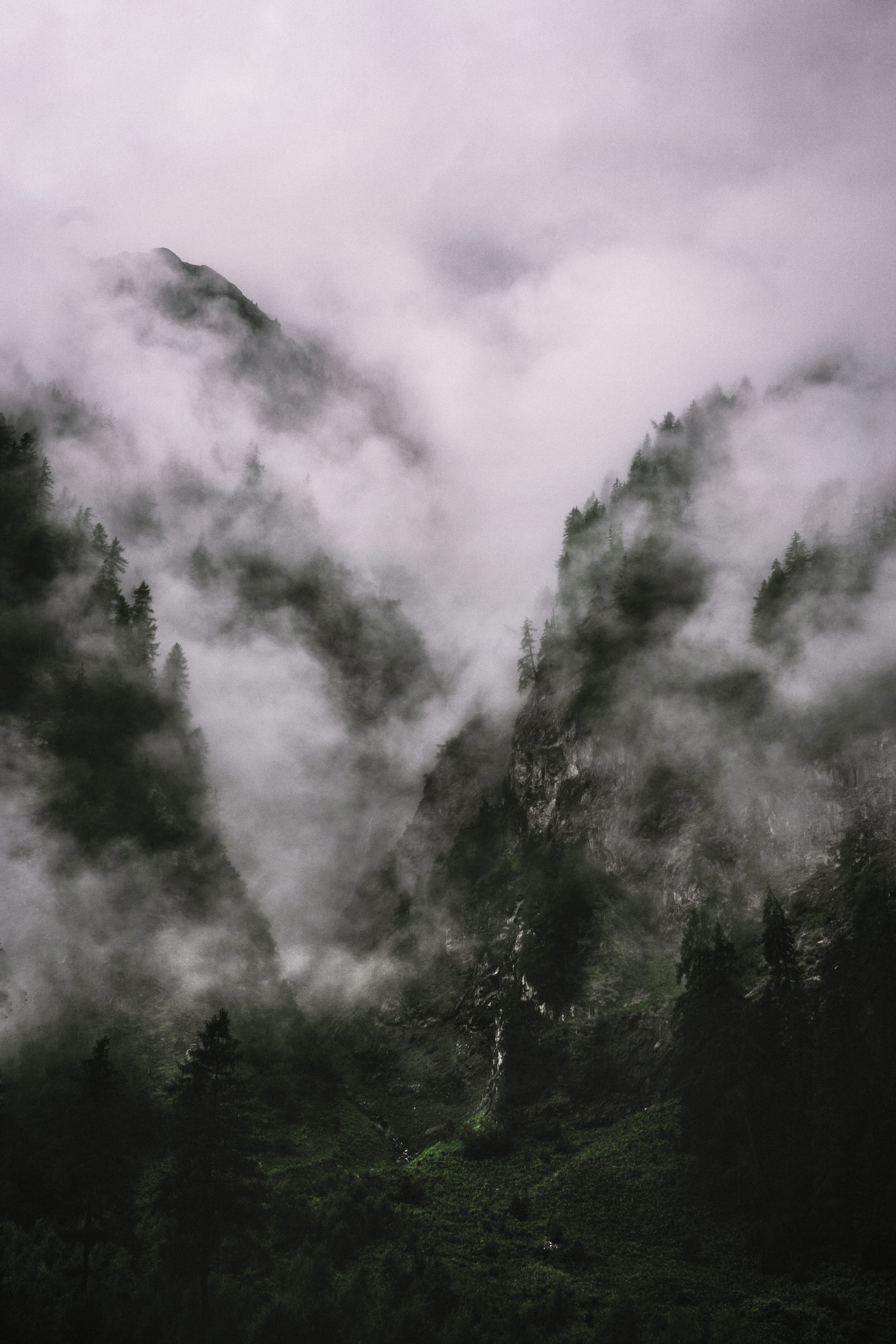 cloud - sky, mountain, cradle, plant, environment, no people, 5K, forest, low angle view, land, mist, landscape, wilderness, cliff, tranquility, nature, Phone HD Wallpaper