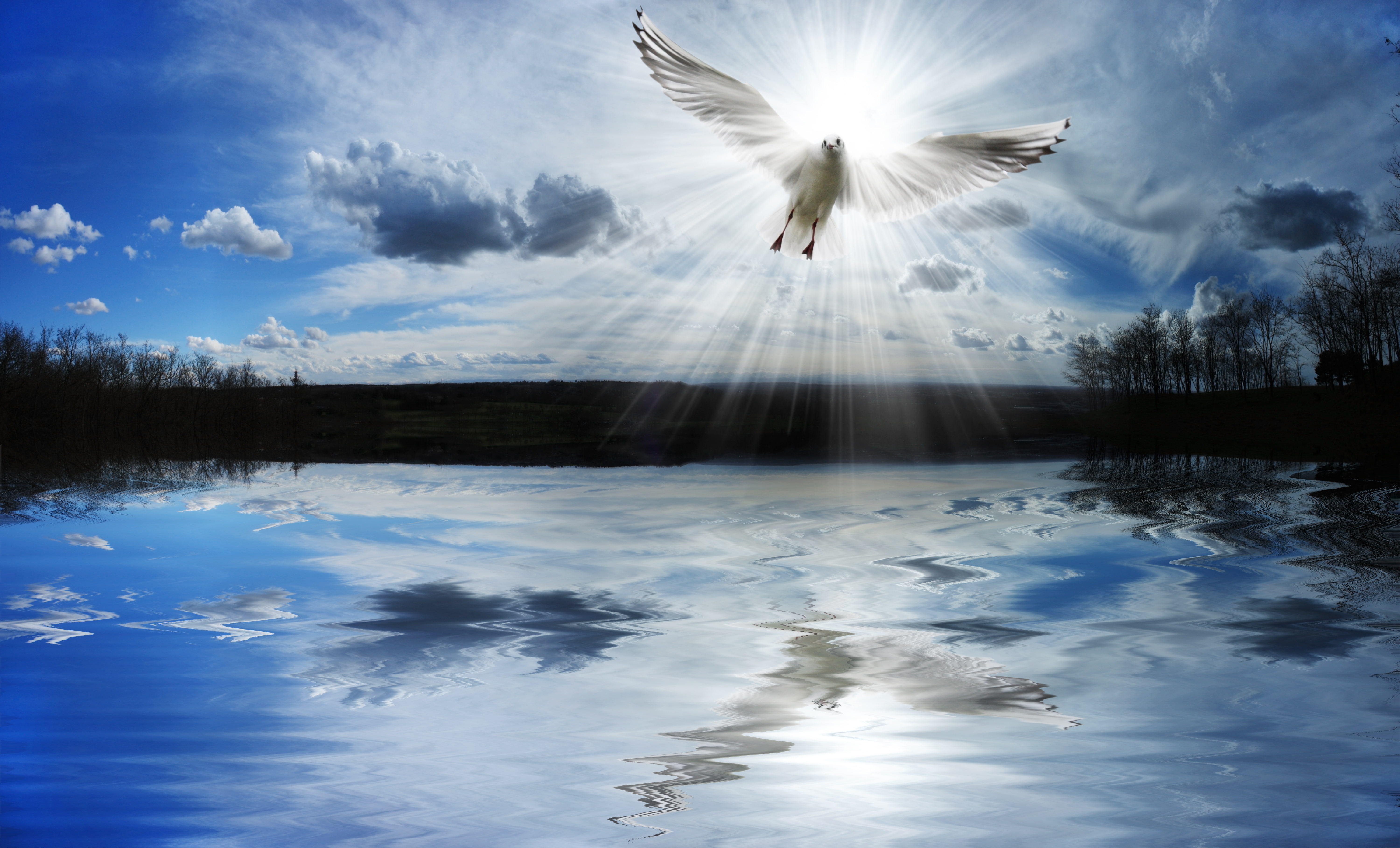 dom, lake, dove, pond, 5K, HD Wallpaper