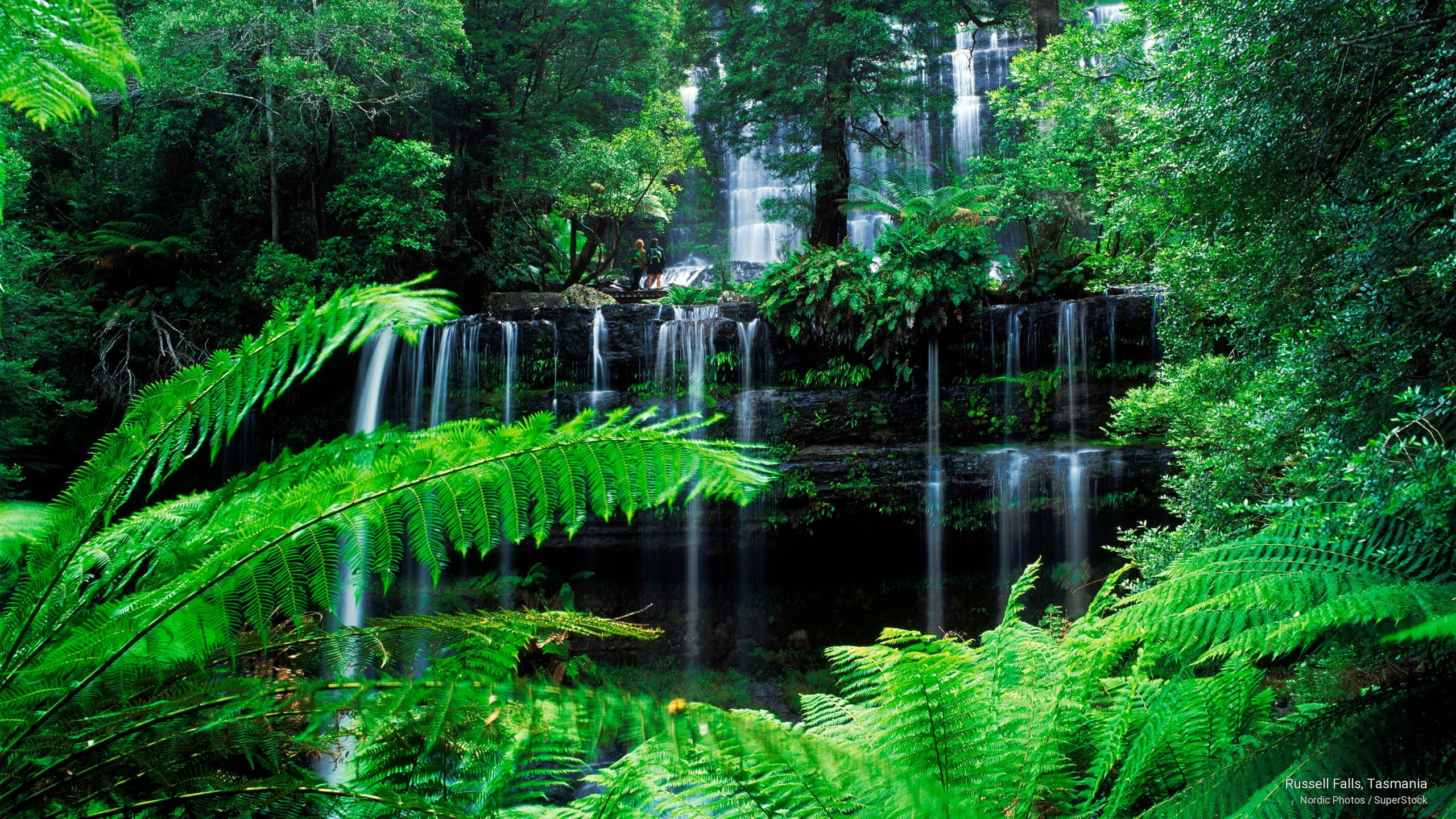 tasmania, russell, Waterfalls, falls, 2K, HD Wallpaper