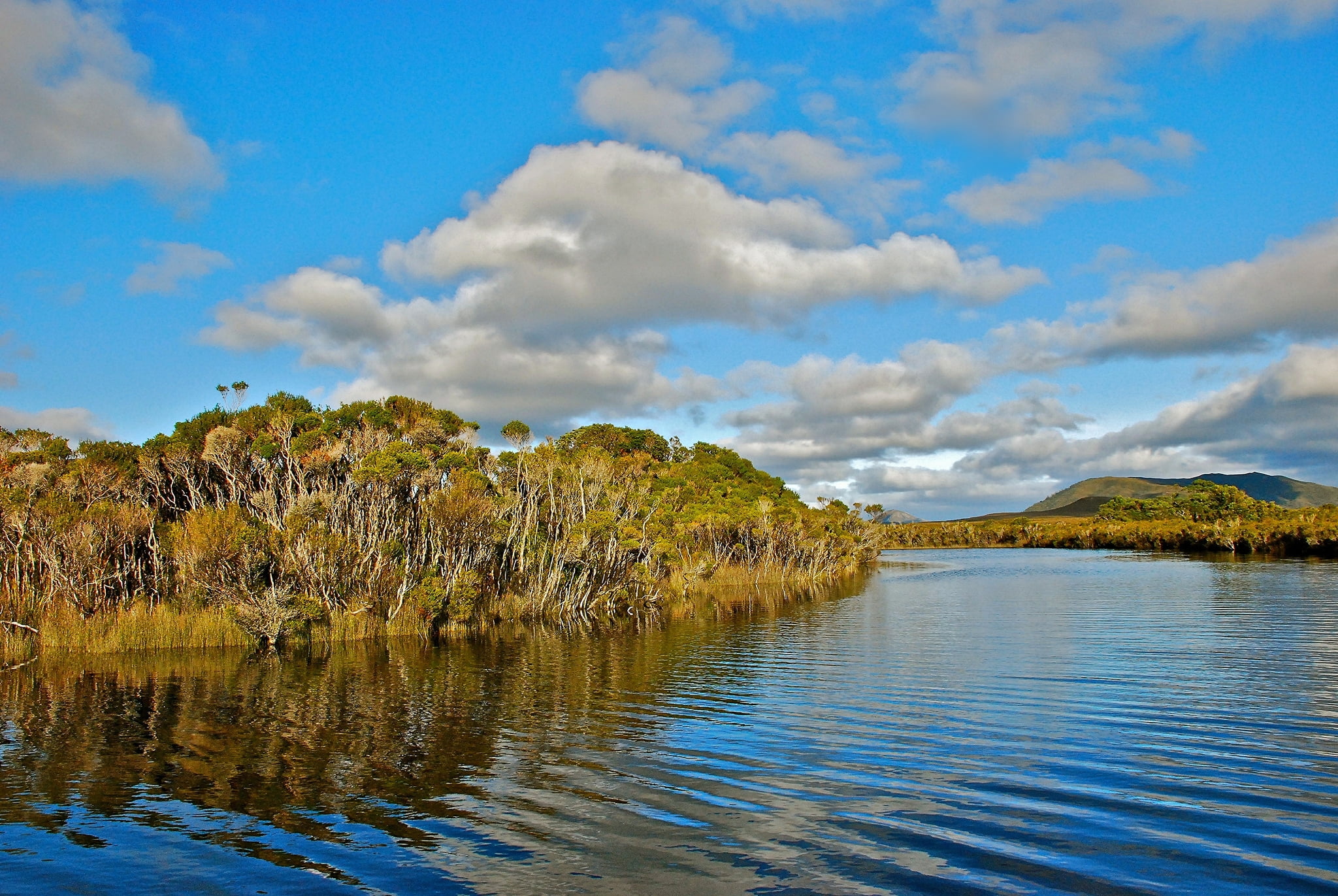 plant, australia, idyllic, green, scenics, coastline, trees, tree, waterfront, leaf, lake, grass, non-urban scene, blue, forest, water, cloud - Sky, mountain, HD Wallpaper