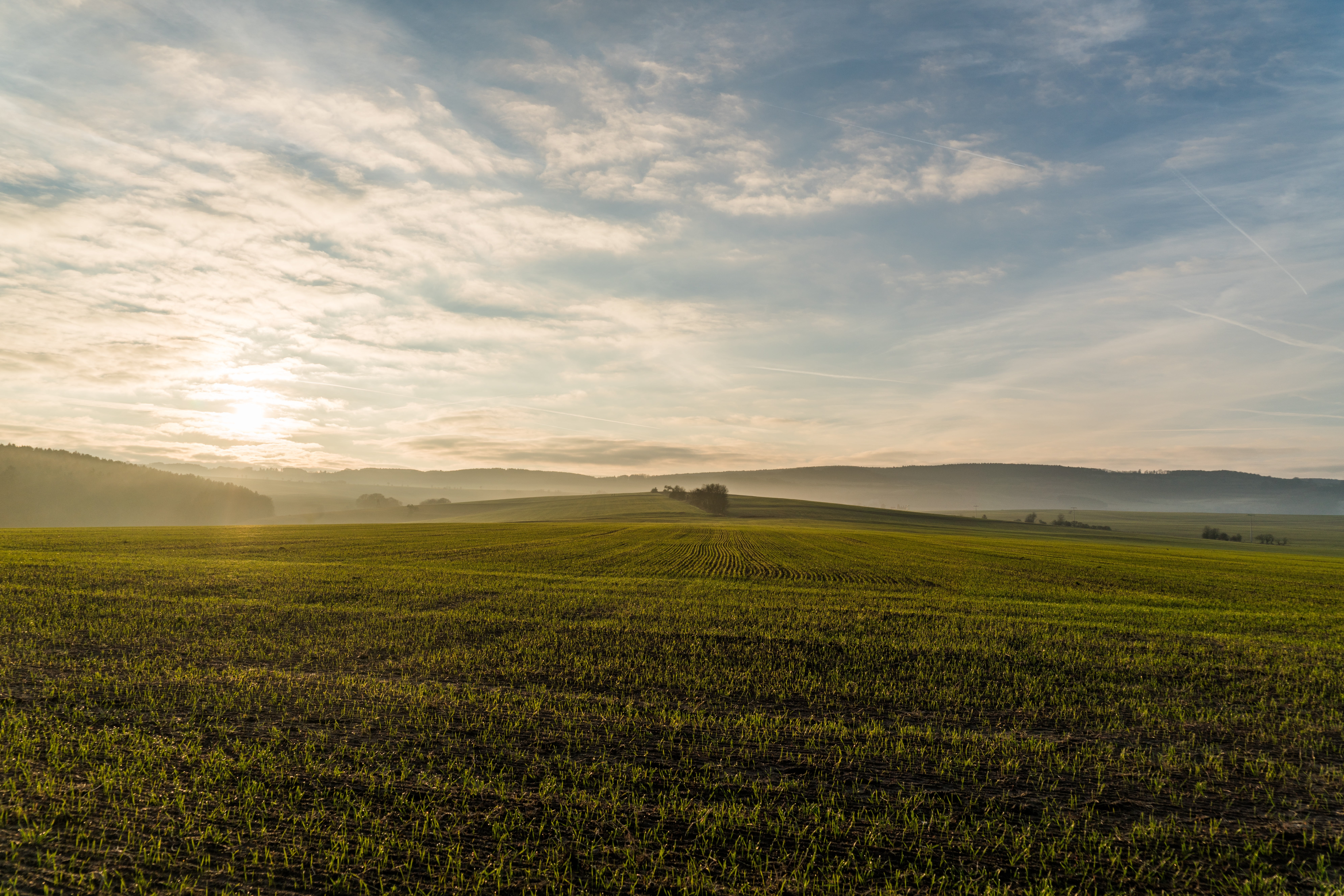 environment, rural scene, scenics, spacious, 8K, no people, sunset, photo, landscape, growth, plant, scenics - nature, farm, tranquil scene, beauty in nature, HD Wallpaper