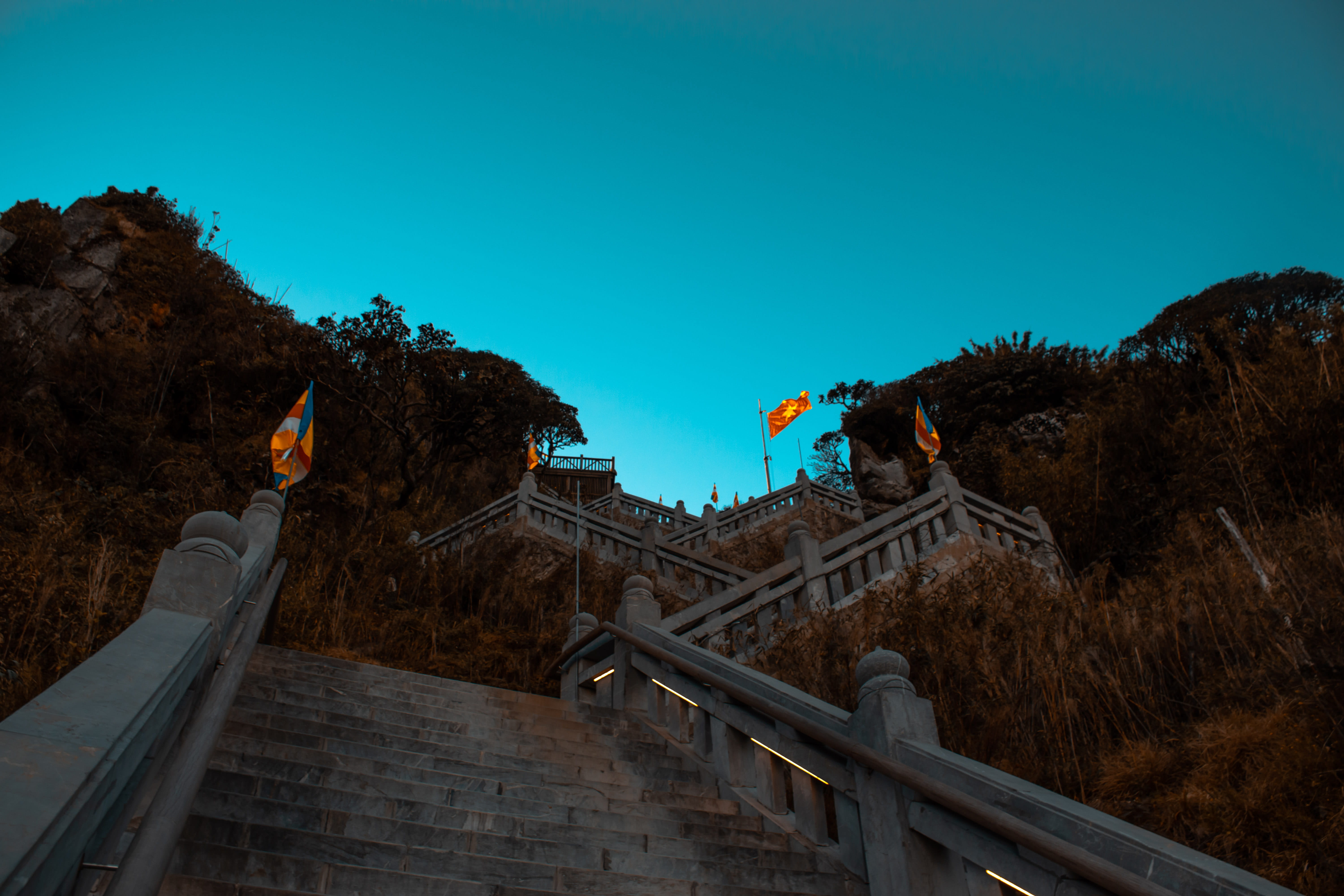 5K, flags, vietnam, gray, nature, banister, no people, animal themes, daytime, clear sky, outdoors, plant, vietnam flag, domestic animals, built structure, HD Wallpaper