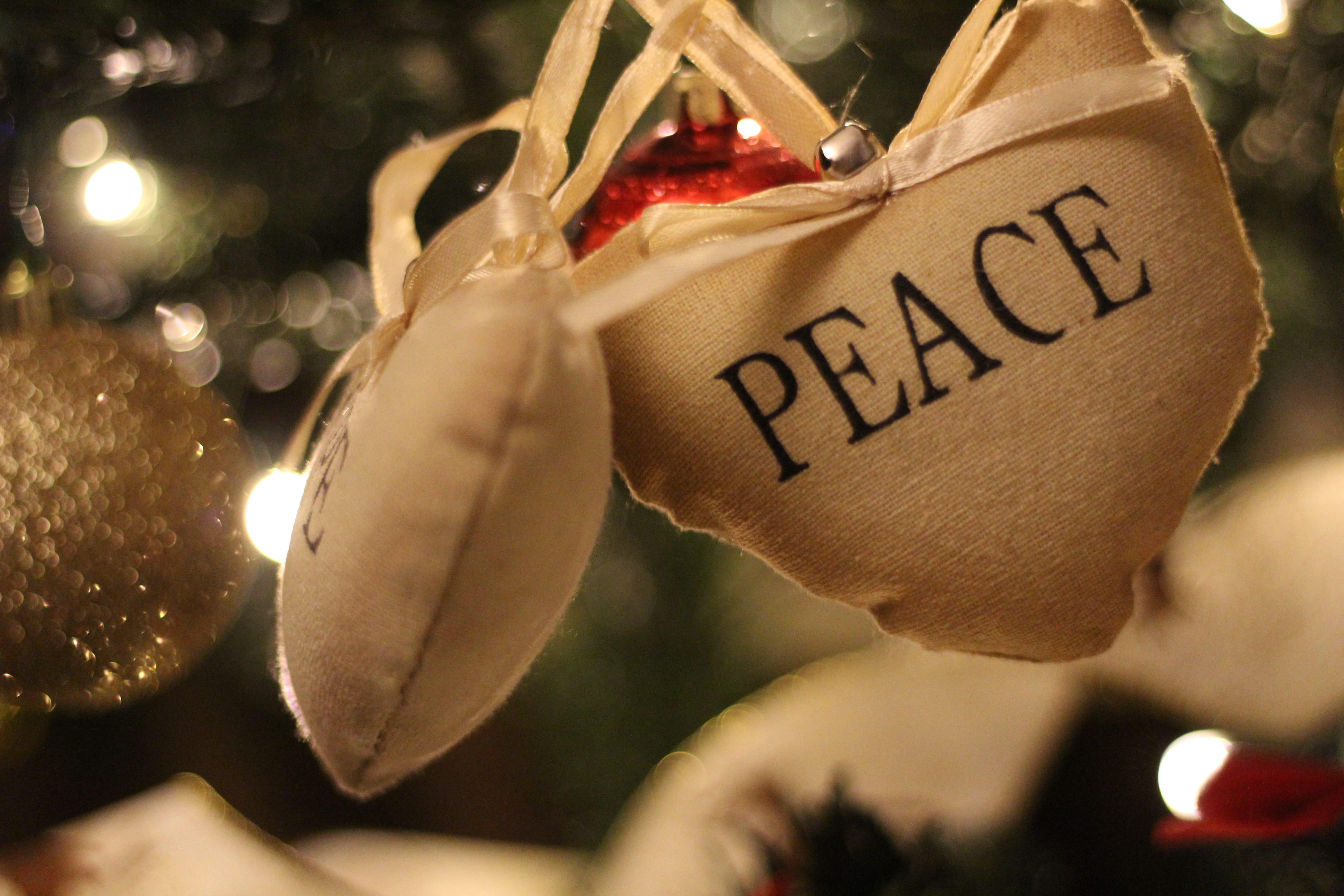 christmas decoration, no people, romania, celebration, oradea, christmas, christmas tree, 5K, text, 50 mm, western script, lights, holiday, message, communication, HD Wallpaper