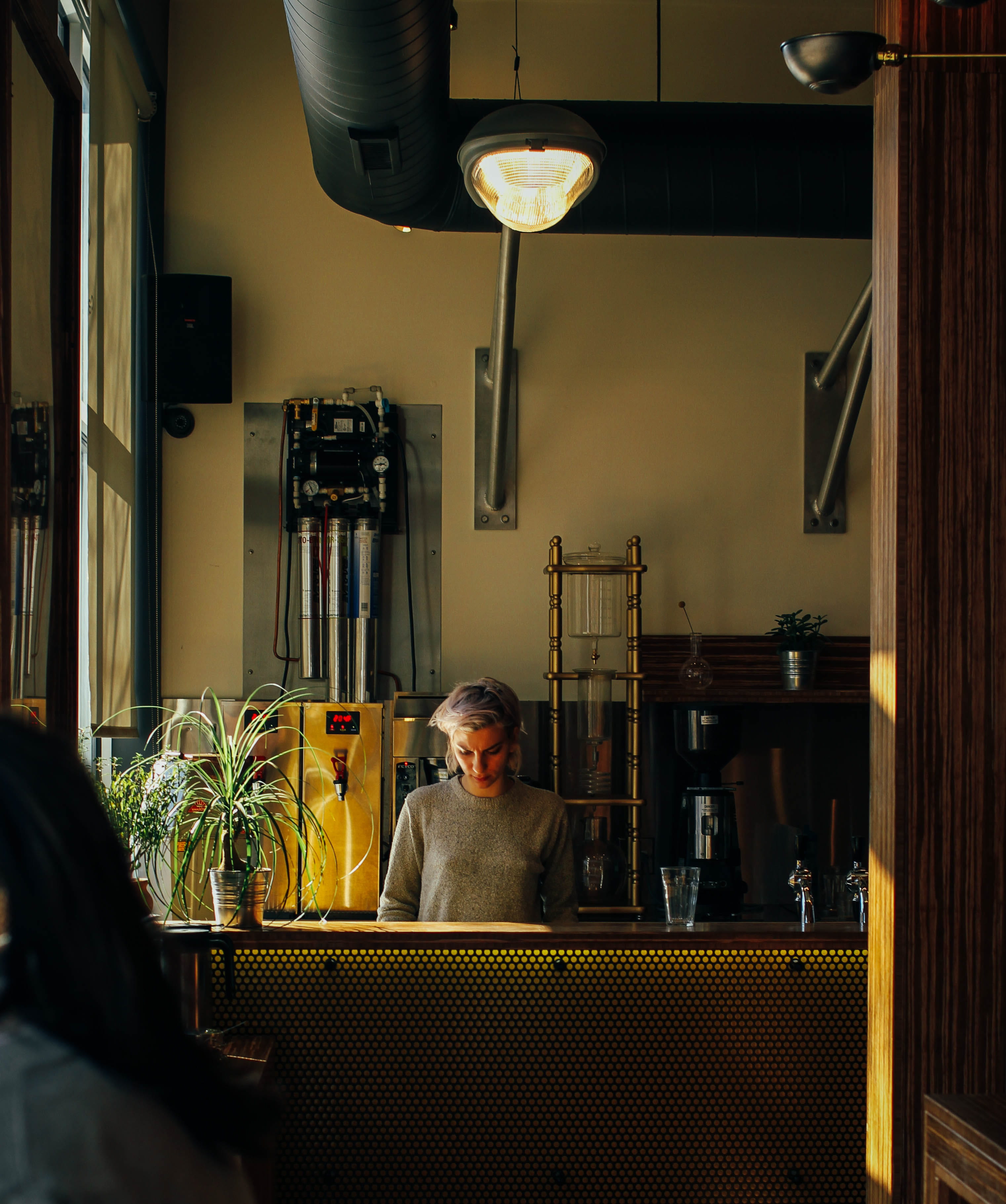 leisure activity, adult, portrait, united states, electric lamp, cafe, men, interior, table, lifestyles, coffee, one animal, chicago, looking at camera, Phone HD Wallpaper