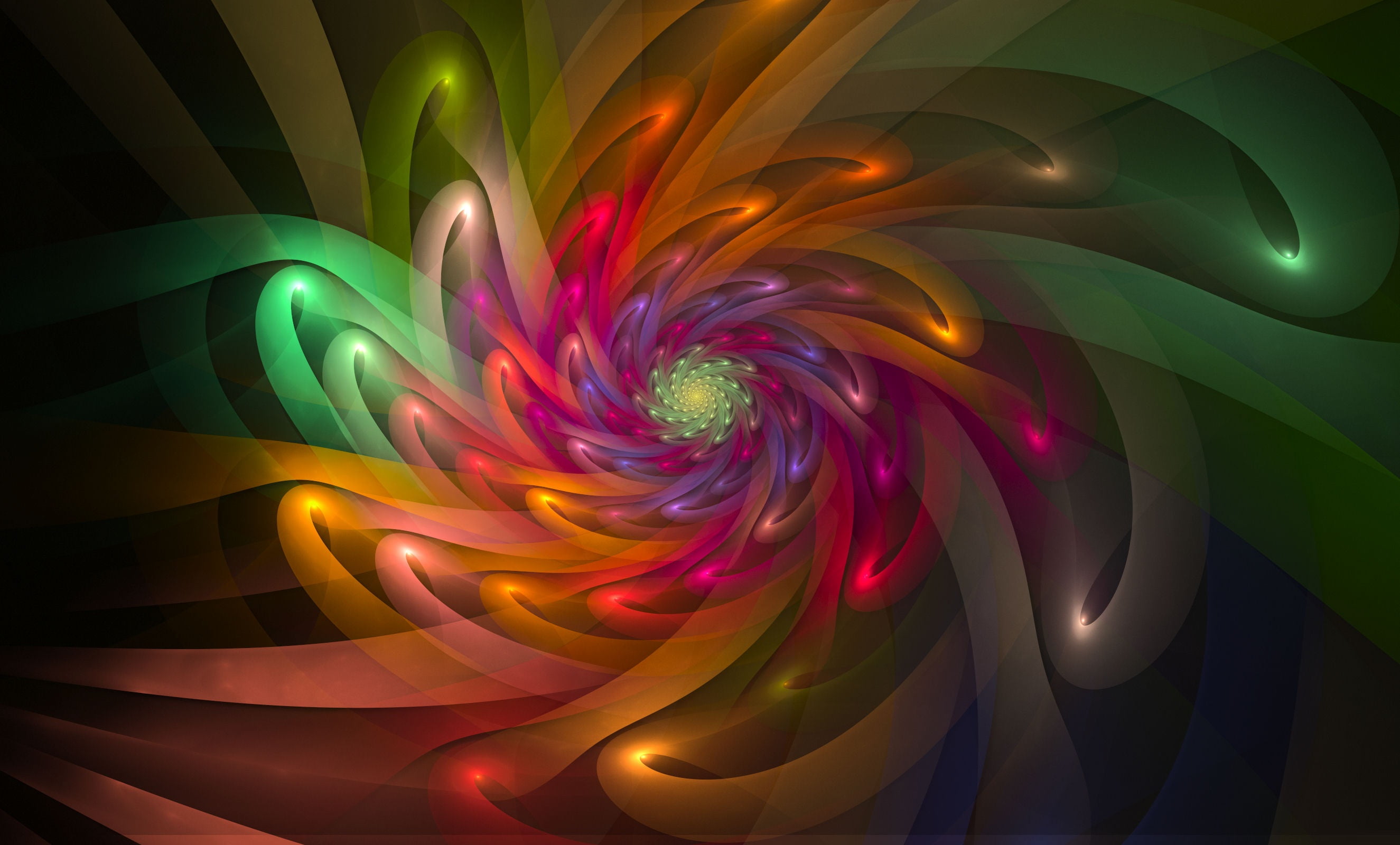 motion, studio shot, digital, creativity, colorful, illuminated, multicolored, pattern, technology, light painting, backgrounds, glowing, close-up, floral, HD Wallpaper