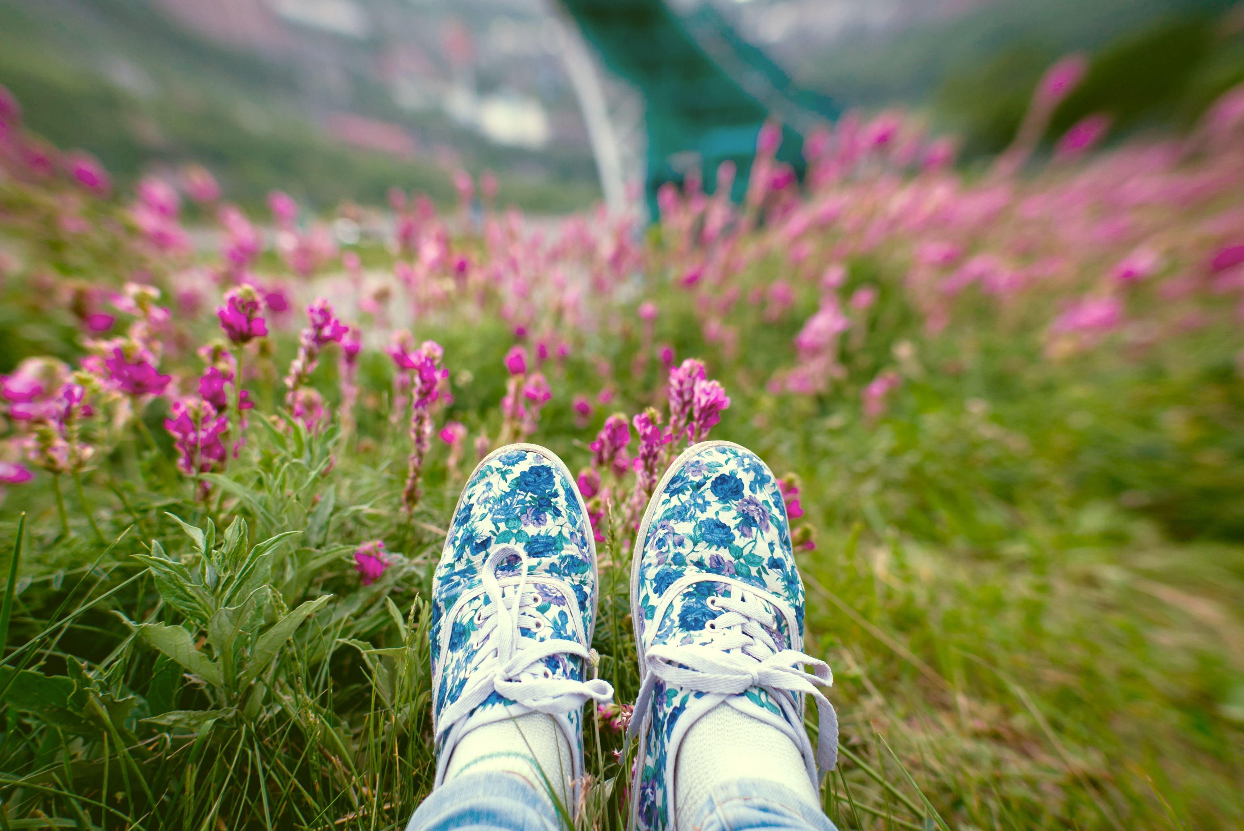 close-up, floral pattern, purple, human body part, shoe, flowering plant, personal perspective, vara, green, plant, flower, lifestyles, focus on foreground, HD Wallpaper