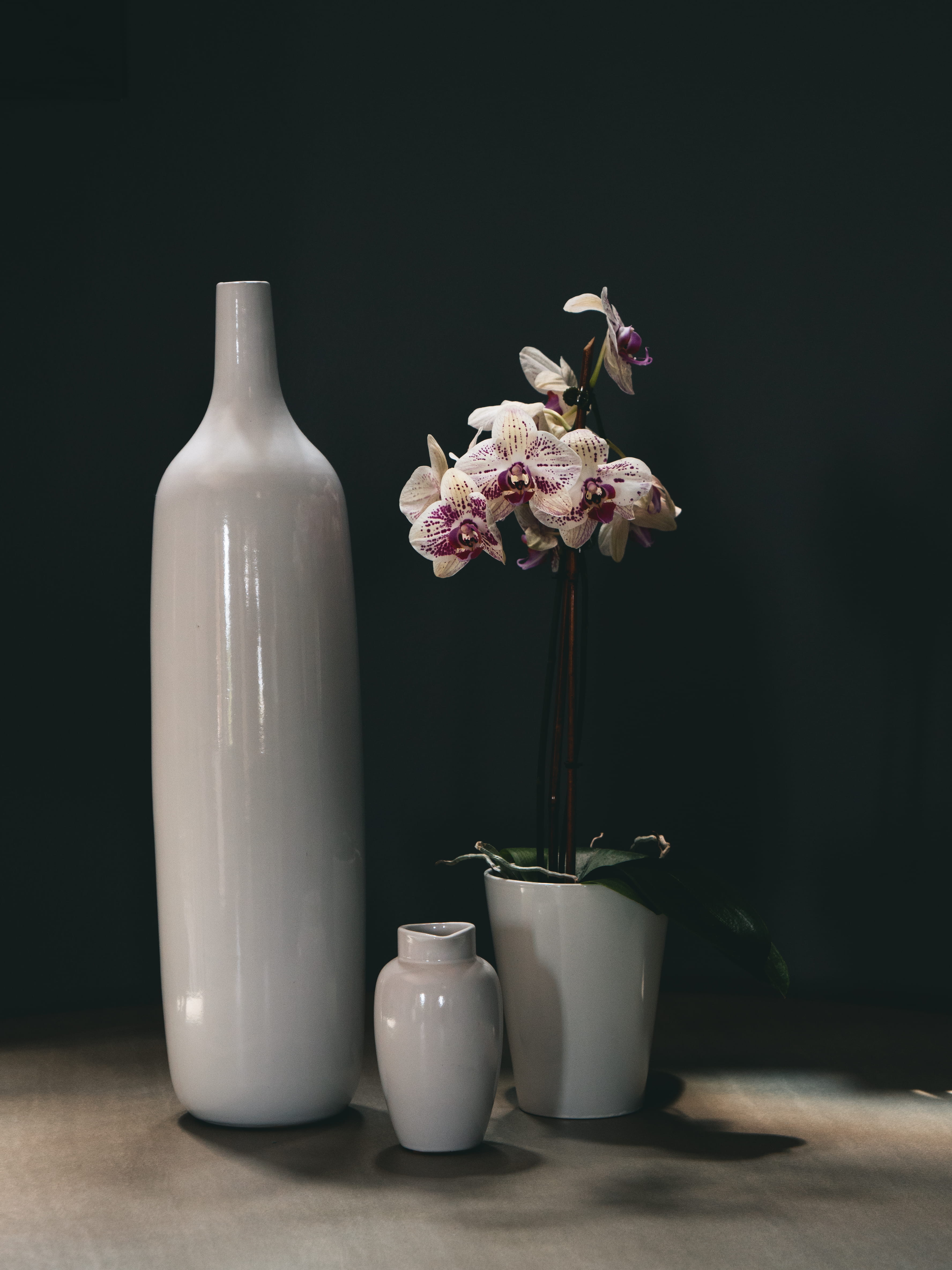 fragility, flowers, flowering plant, still life, white color, table, bottle, vulnerability, united states, plant, moody, container, 4K, flower head, nature, Phone HD Wallpaper
