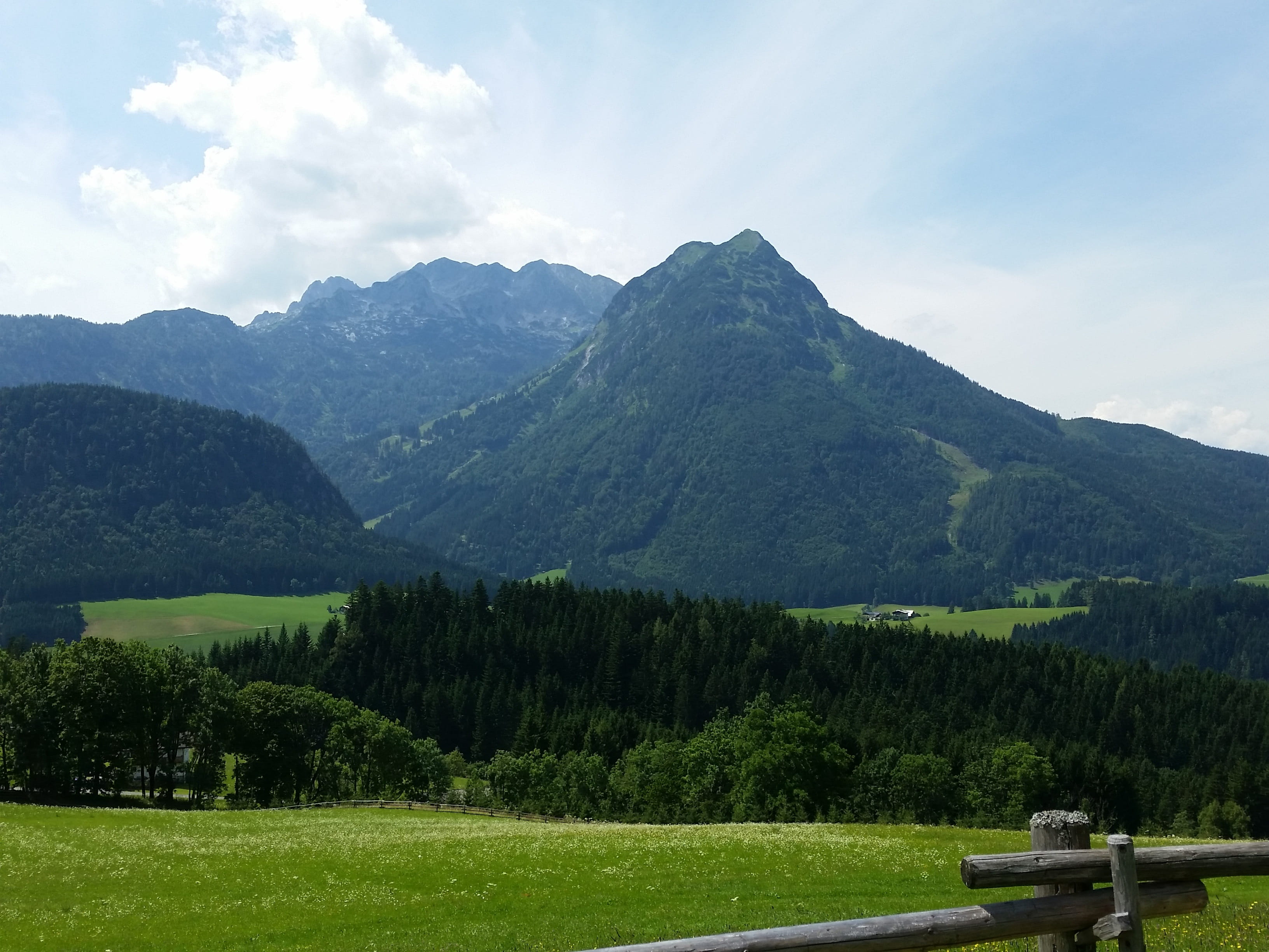 scenics - nature, growth, tree, Salzburger Land, Austria, day, landscape, cloud - sky, green color, tranquil scene, beauty in nature, environment, no people, HD Wallpaper