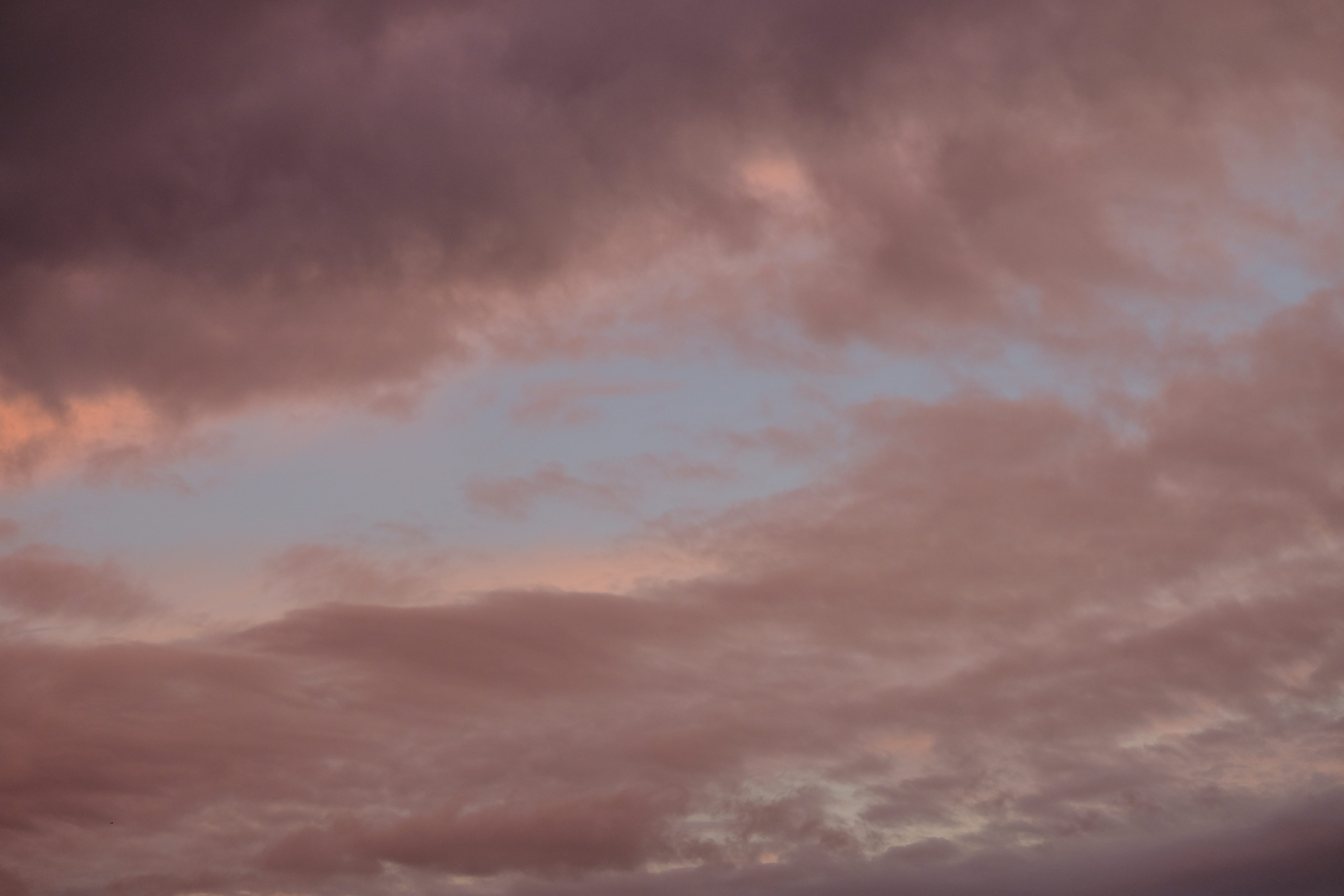clouds, beauty in nature, vanilla sky, backgrounds, dramatic sky, low angle view, cloud - sky, overcast, latvia, nature, idyllic, cloudy, puff, riga, cloudscape, HD Wallpaper