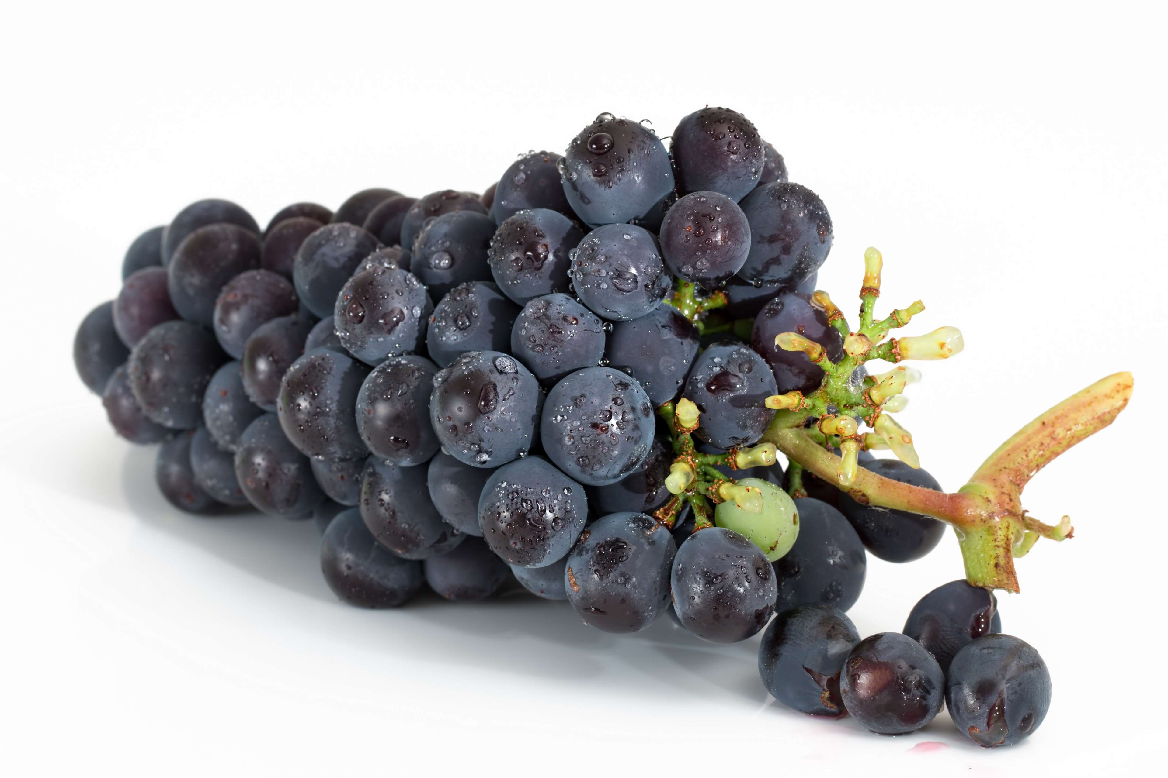 still life, berry fruit, juicy, vitamin, red grape, indoors, juice, studio shot, cluster, sweet, agriculture, 4K, group, black, wellbeing, no people, vine, HD Wallpaper