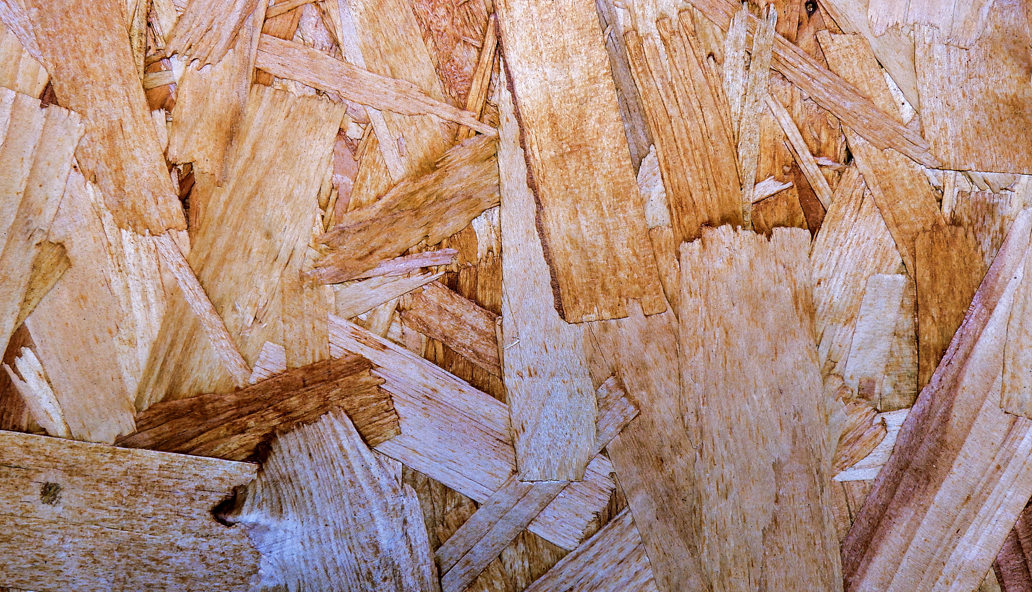 sport, plant, wood, wood - material, pin, coniferous tree, martial arts, hardwood, brown, purple, large group of objects, sports, still life, flagstone, HD Wallpaper