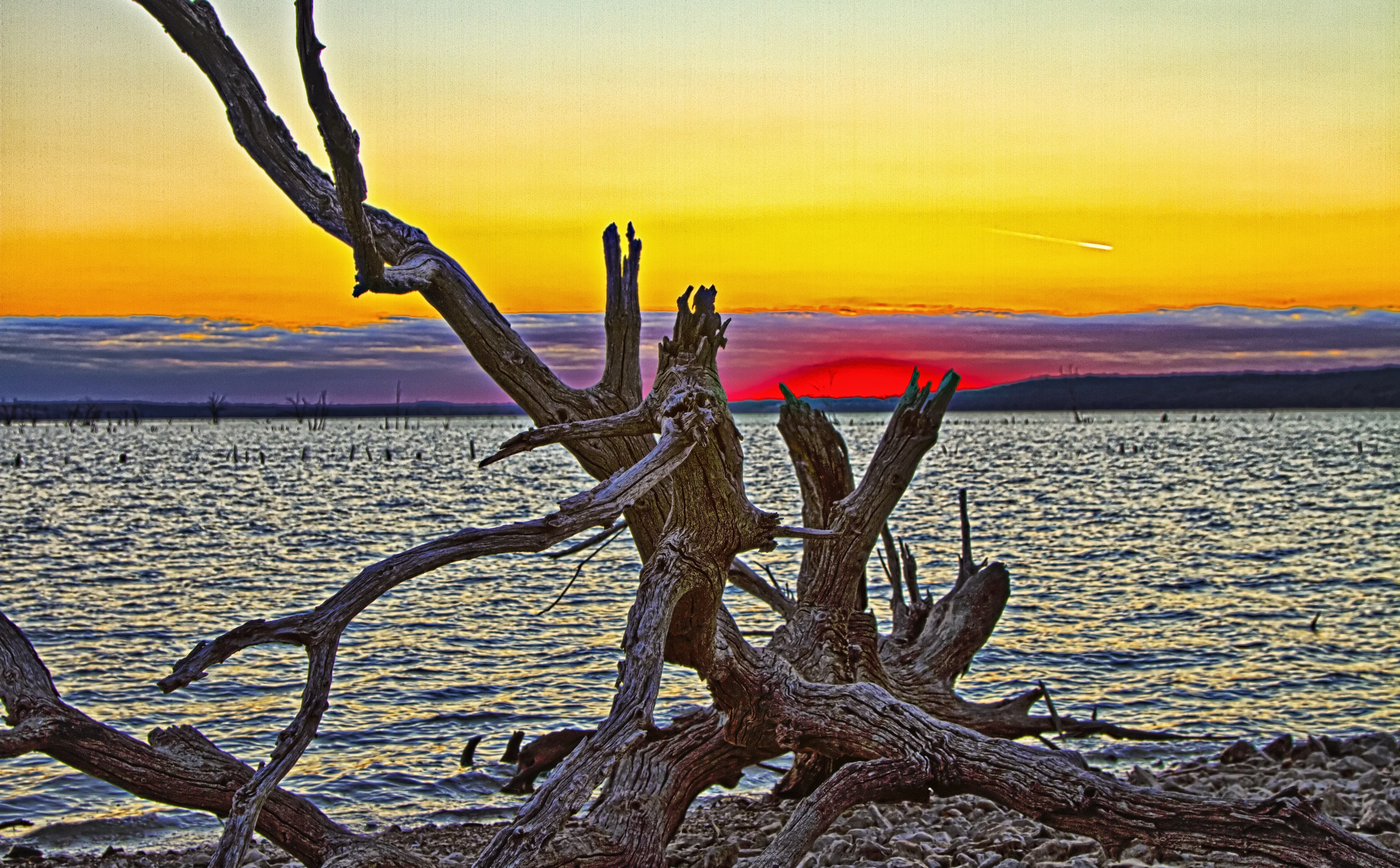 plant, sky, chi, beach, dead plant, figure, cloud - sky, 5K, Peaceful, orange color, Travel, horizon over water, outdoors, water, tai, bare, Clinton Lake, HD Wallpaper