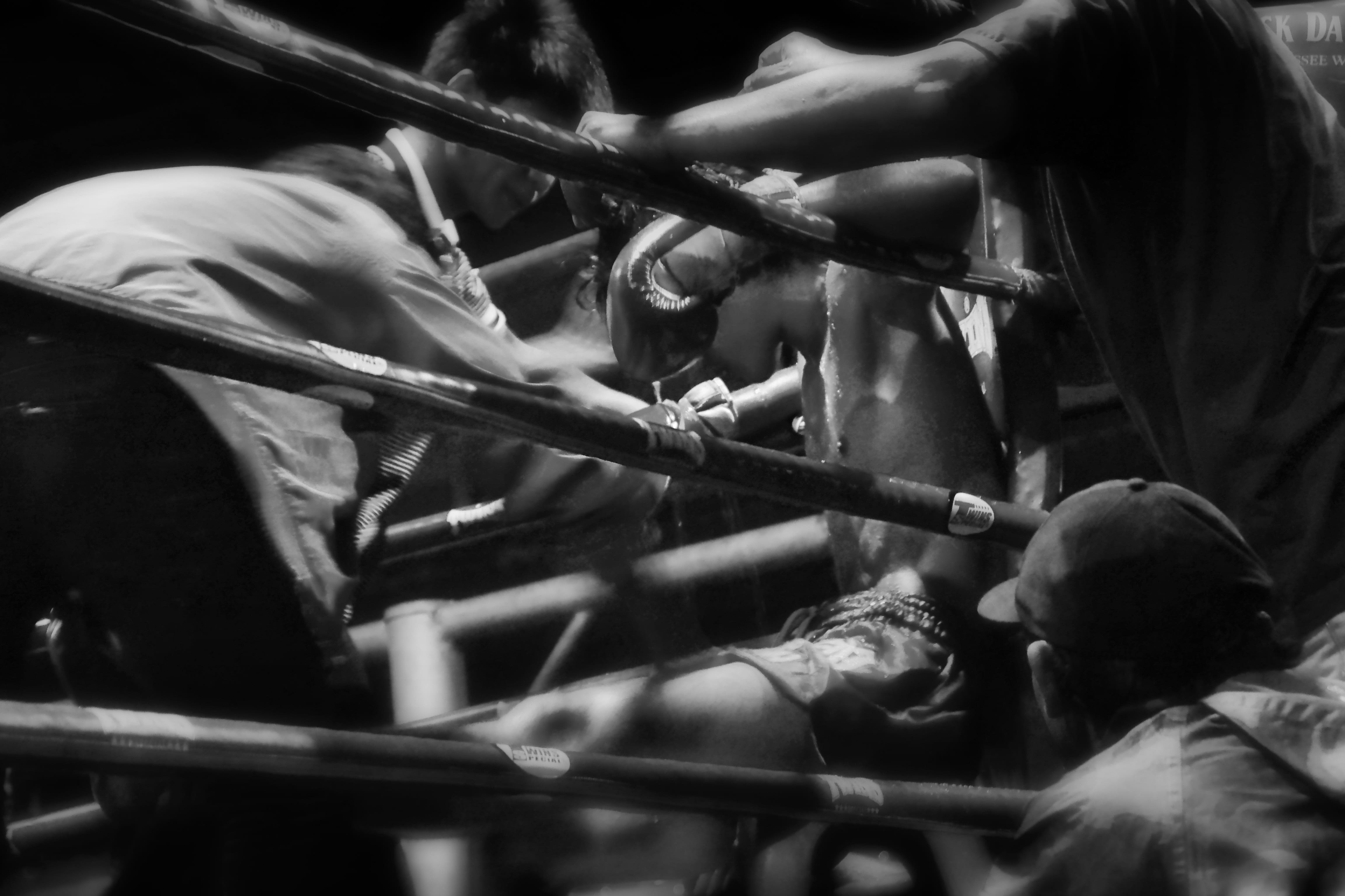 women, adult, sport, occupation, combat, conflict, kick boxing, day, boxing, teamwork, real people, selective focus, mode of transportation, fight, effort, HD Wallpaper