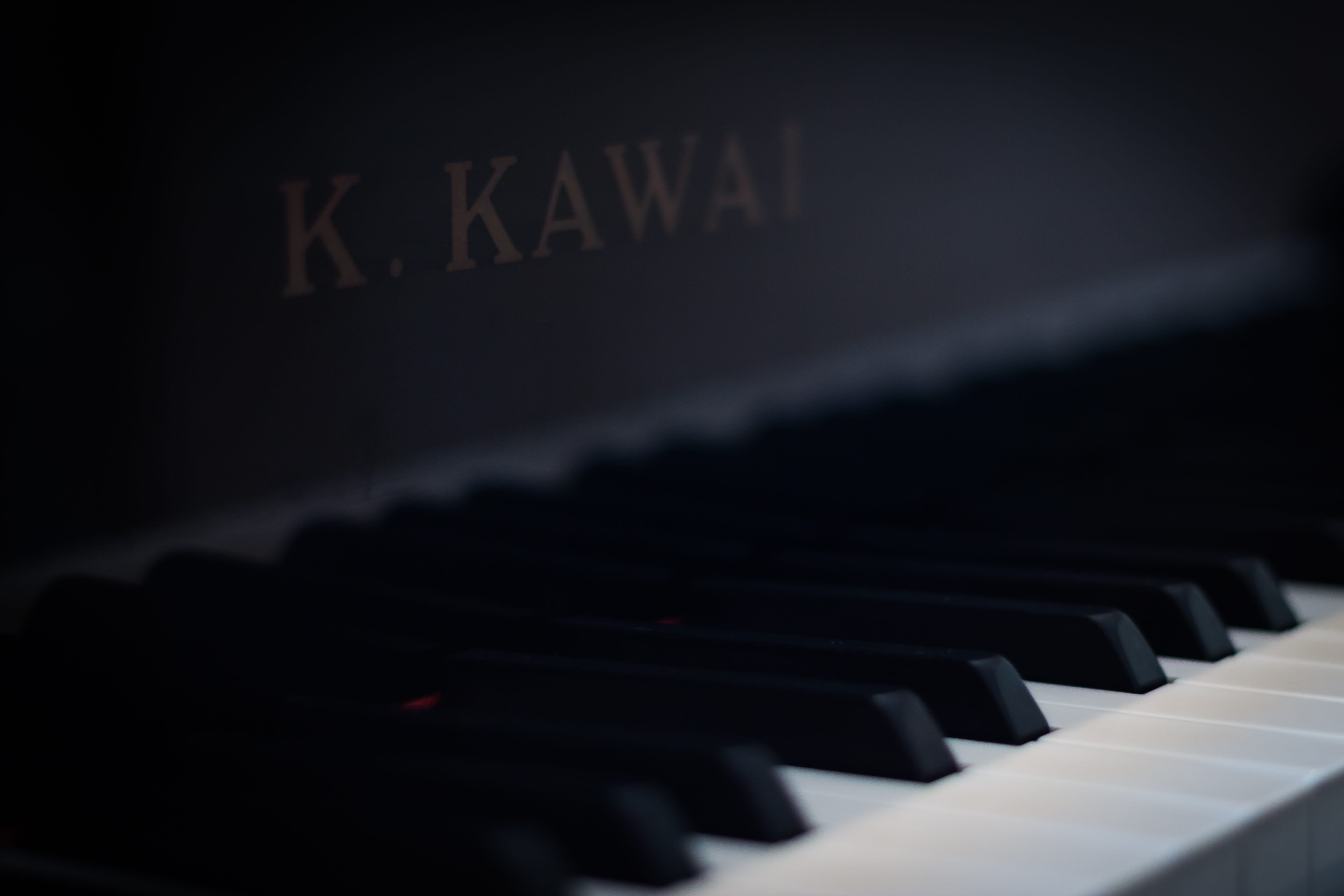 indoors, 5K, sound, in a row, kawai, show, concert, keyboard, light - natural phenomenon, communication, defocused, dark, musician, piano key, arts culture and entertainment, HD Wallpaper