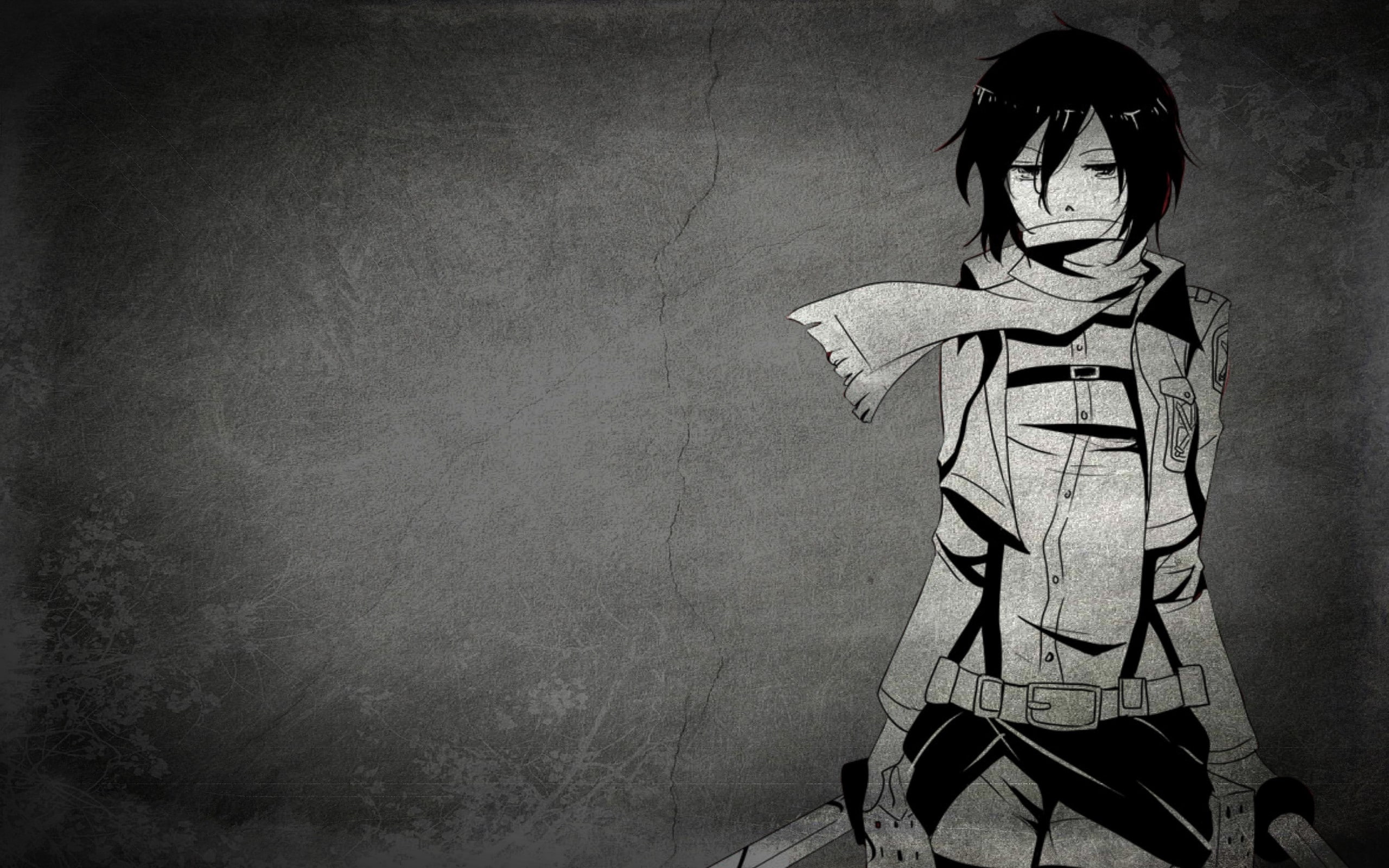 mikasa, kyojin, ackerman, 2K, shingeki, upscale, HD Wallpaper
