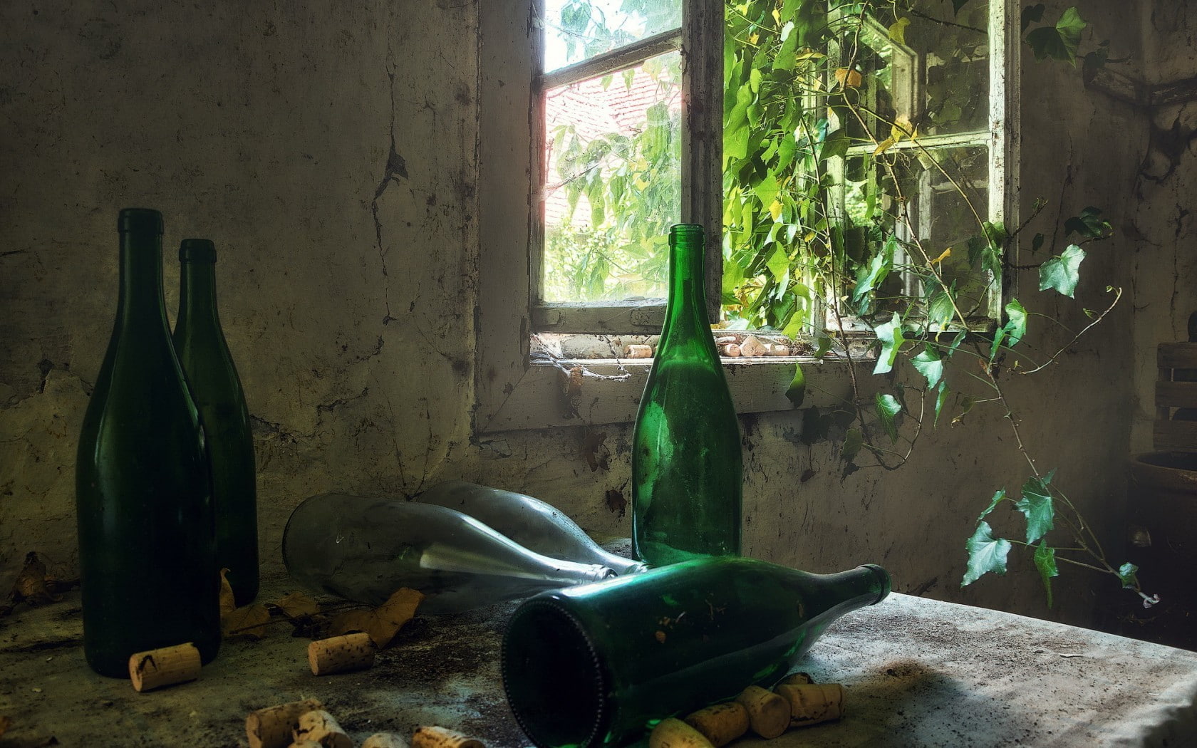 plants, room, ruin, 720P, bottles, window, HD Wallpaper