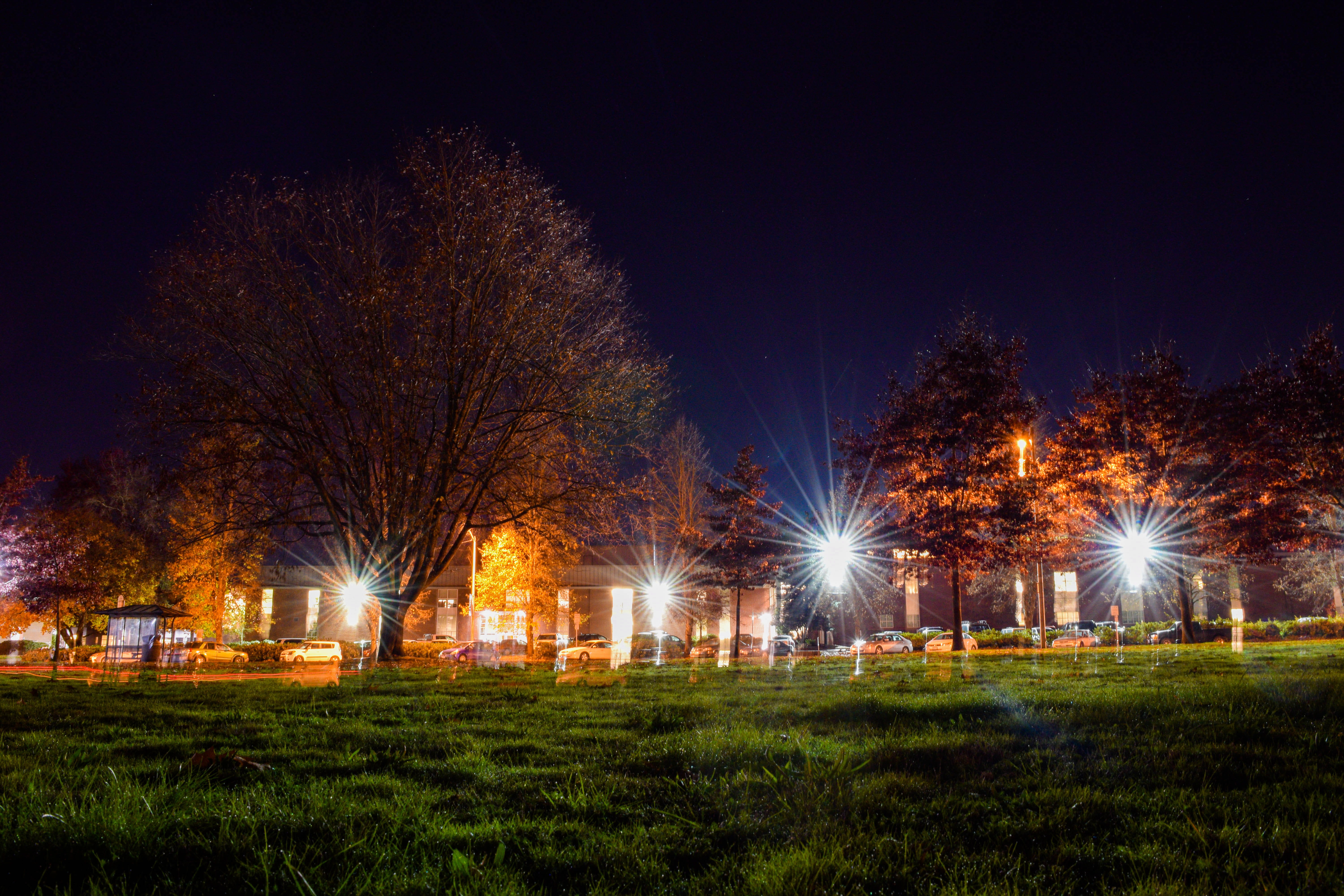 night, field, windows, dark, building exterior, light rays, city, trees, nature, no people, architecture, grass, branches, tree, glowing, half winter, 5K, HD Wallpaper