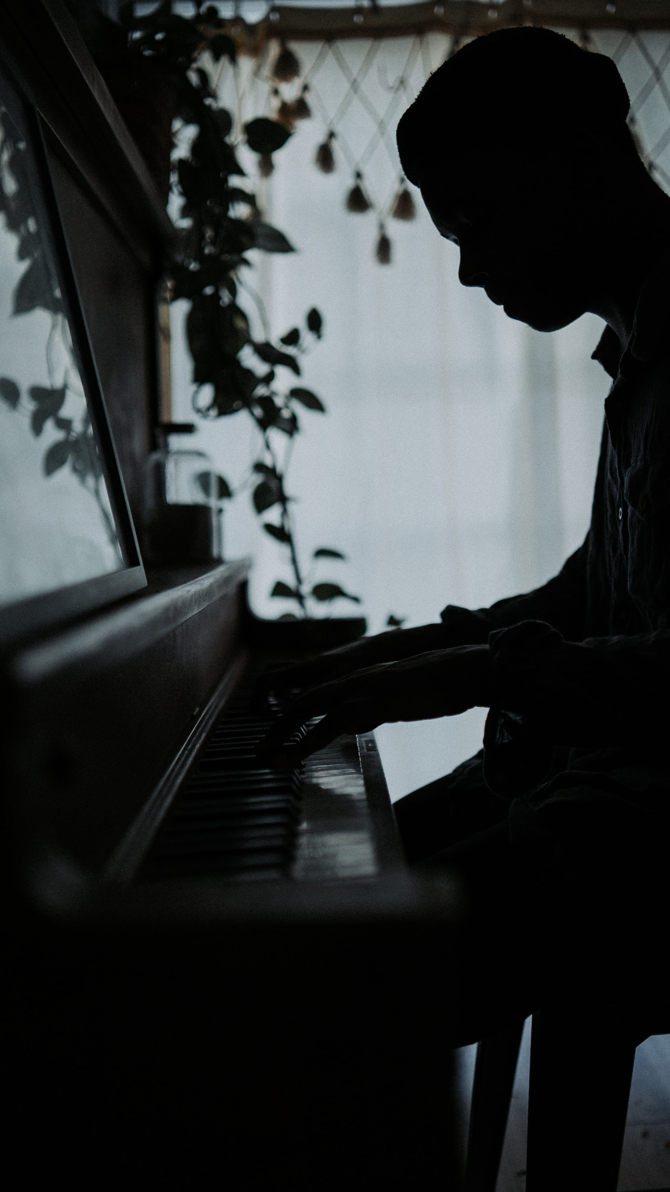 men, adult, indoors, musician, people, 4K, silhouette, shadow, dark, piano, music, pian, one Person, key, sitting, lifestyles, organ, playing piano, back Lit, Phone HD Wallpaper
