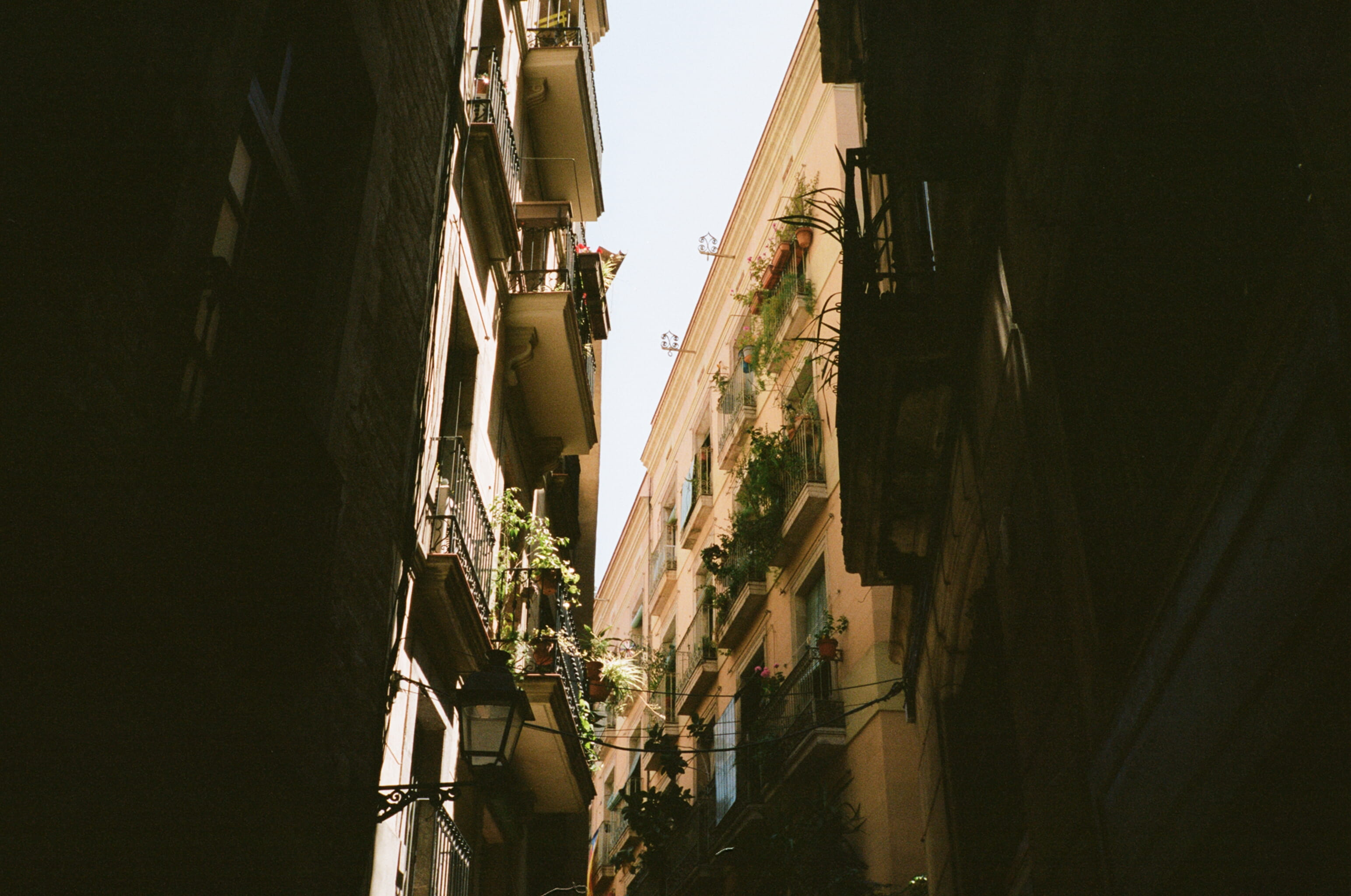 barca, outdoors, beige, cultures, alley, architectural, looking up, foliage, window, concrete, dark, architecture, europe, tourism, famous Place, no People, HD Wallpaper