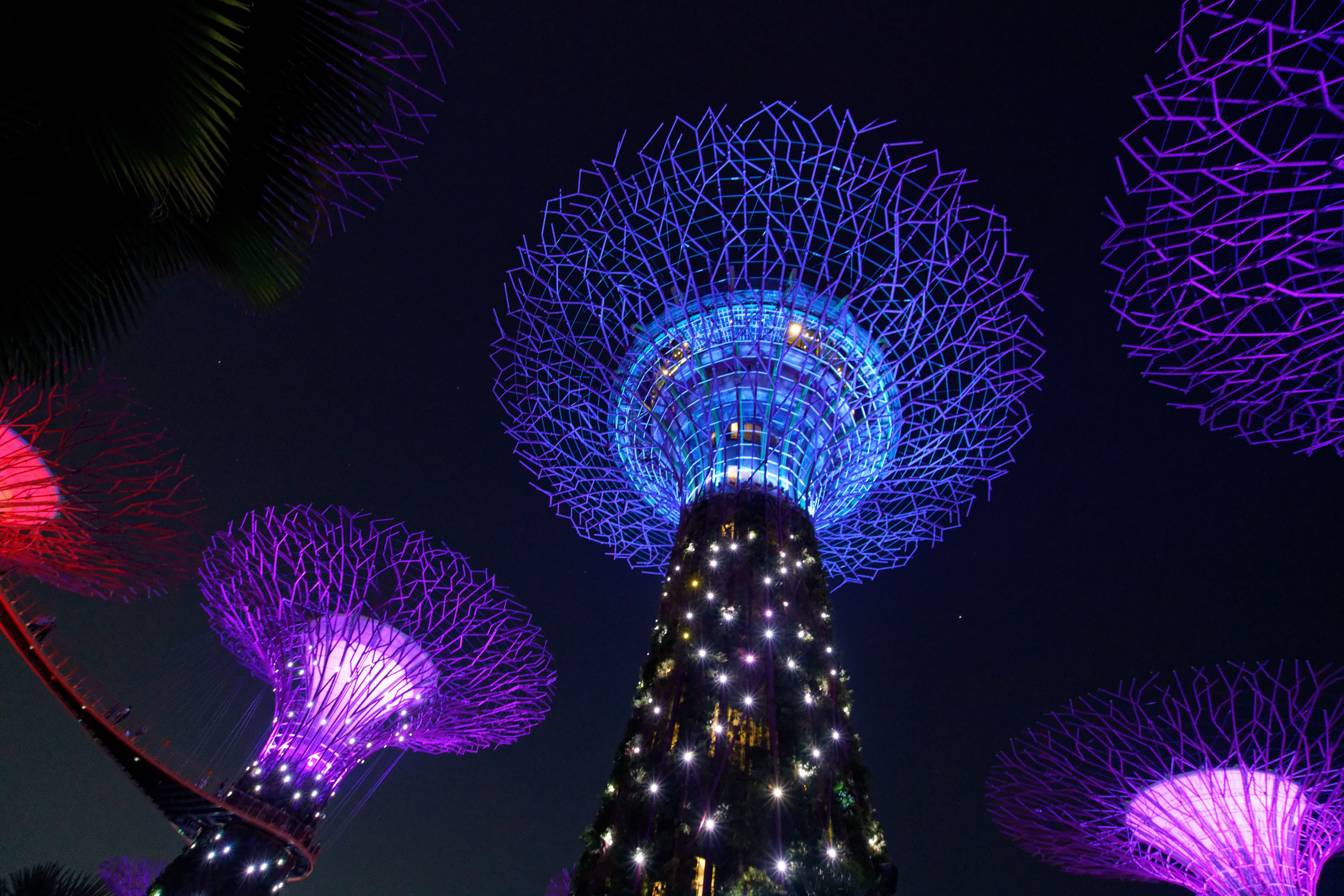 skyscraper, low angle view, lights, no people, crowd, bay, perspective, illuminated, light, building exterior, path, nightlife, ornament, festival, pattern, HD Wallpaper