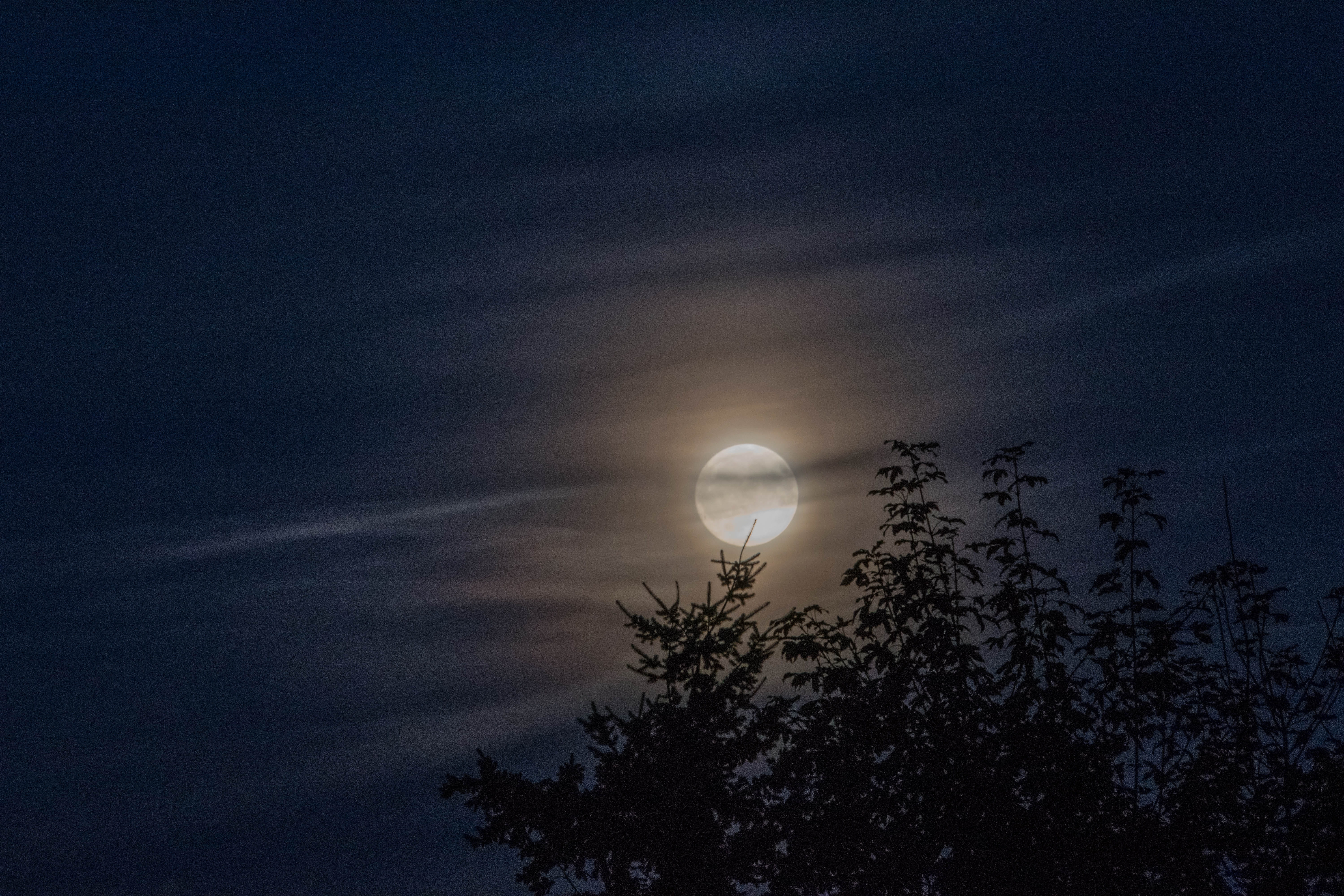 black, darkness, astronomy, silhouette, scenics - nature, photography, outdoors, no people, moonlight, night, nature, circle, low angle view, planetary moon, HD Wallpaper