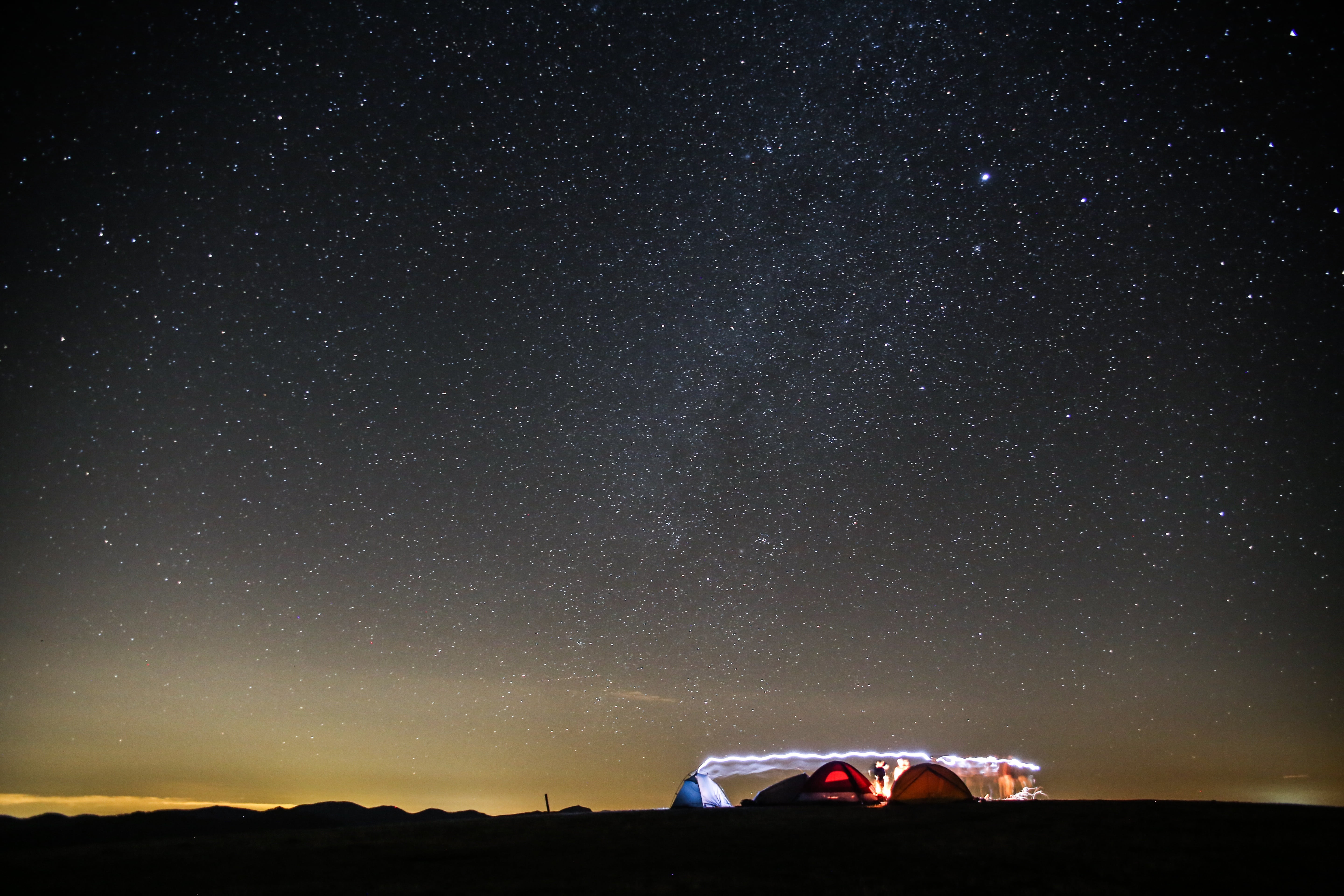 star field, outdoors, camping, star, night sky, night sky stars, no people, landscape, one animal, illuminated, milky-way, beauty in nature, star - space, HD Wallpaper