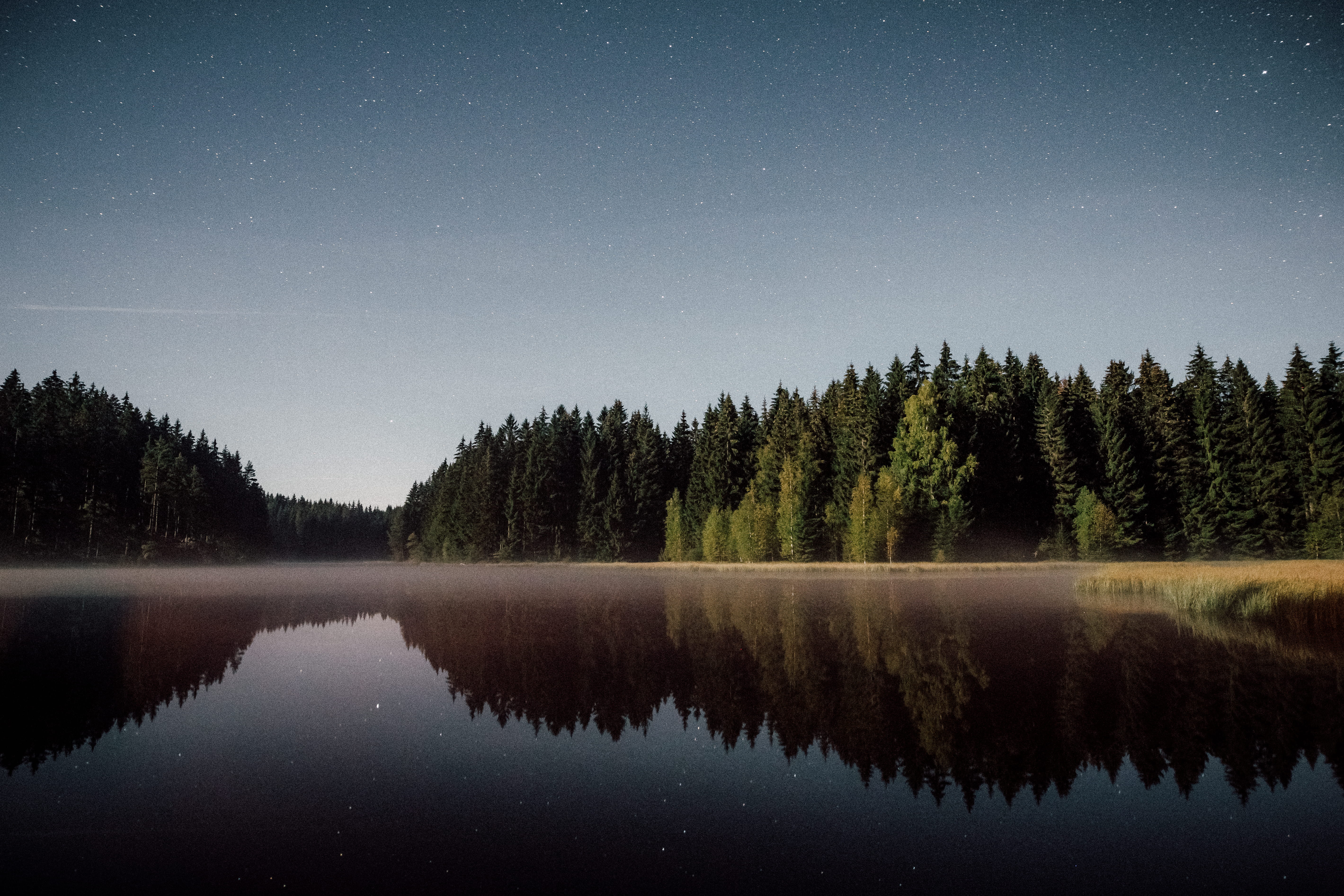outdoor, growth, reflection lake, horizon, see, sachsen, copy space, coniferous tree, fog, wanderlust, sky, no people, body, nature, reflection, HD Wallpaper
