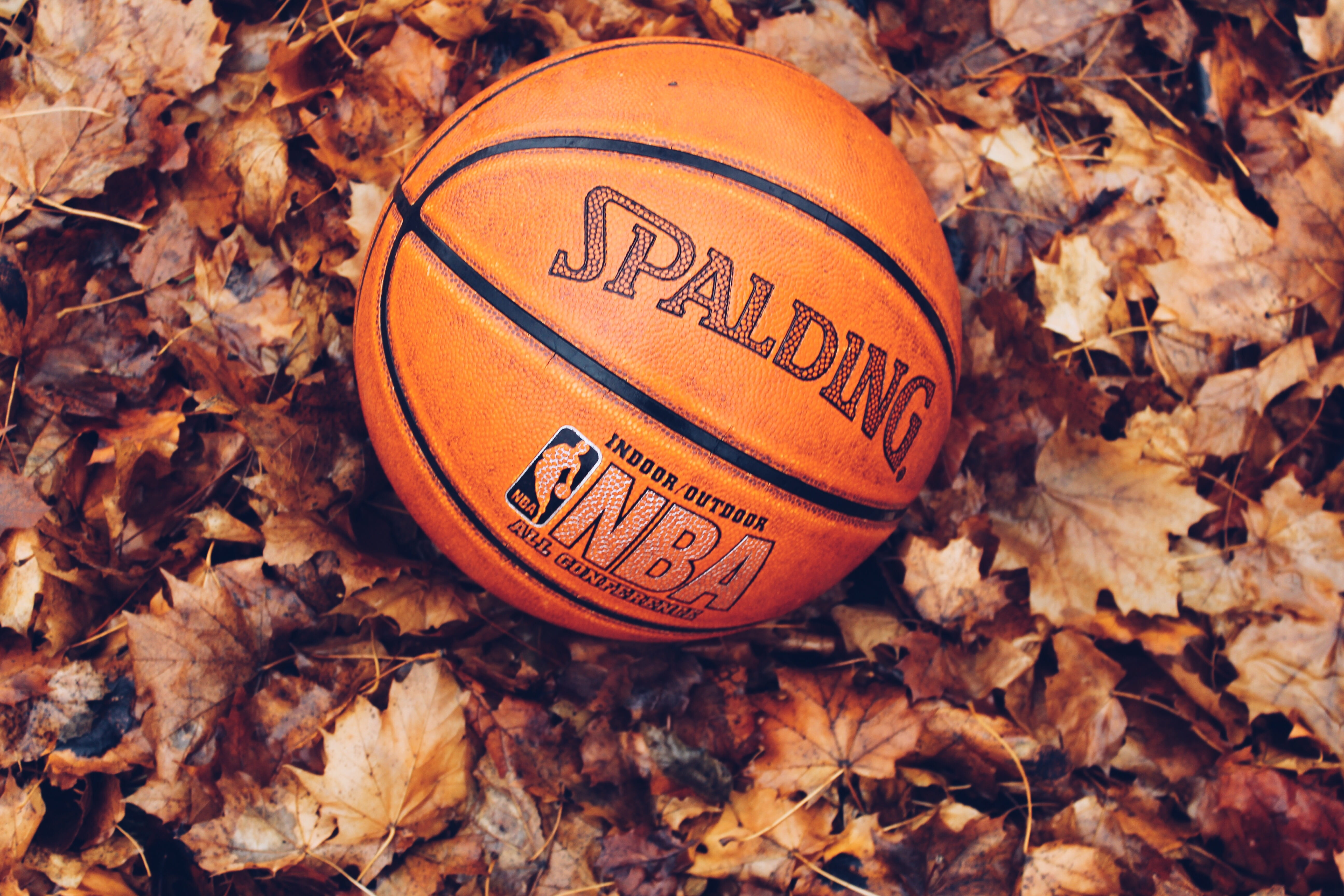 directly above, change, autumn, spalding, land, orange, orange color, nature, plant part, nba, fall, maple leaf, brown, leaf, no people, leaves, dry, 5K, HD Wallpaper