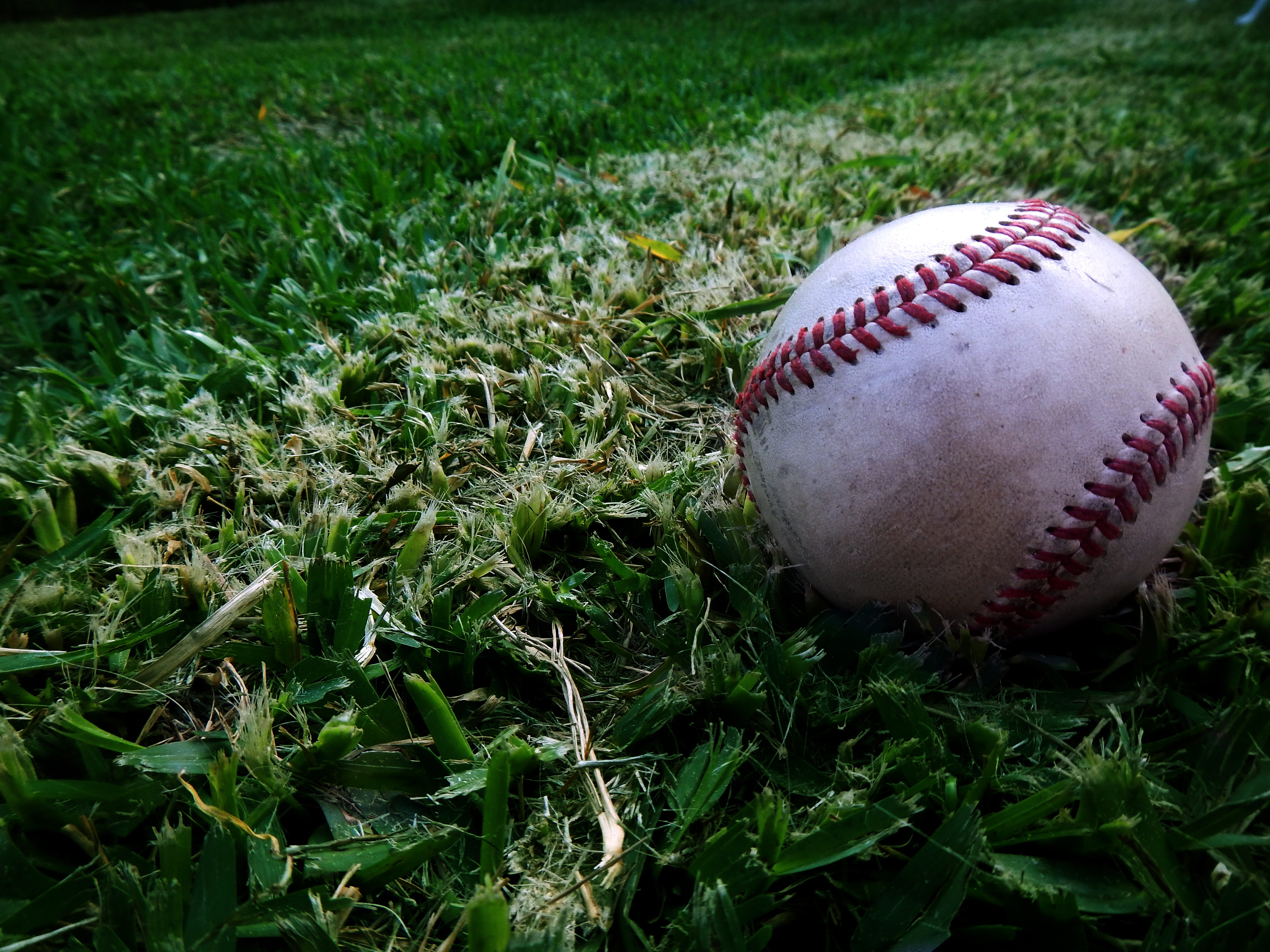ball, baseball - ball, spalding, sport, team sport, no people, growth, field, baseball - sport, land, grass, league, focus on foreground, venezuela, season, HD Wallpaper