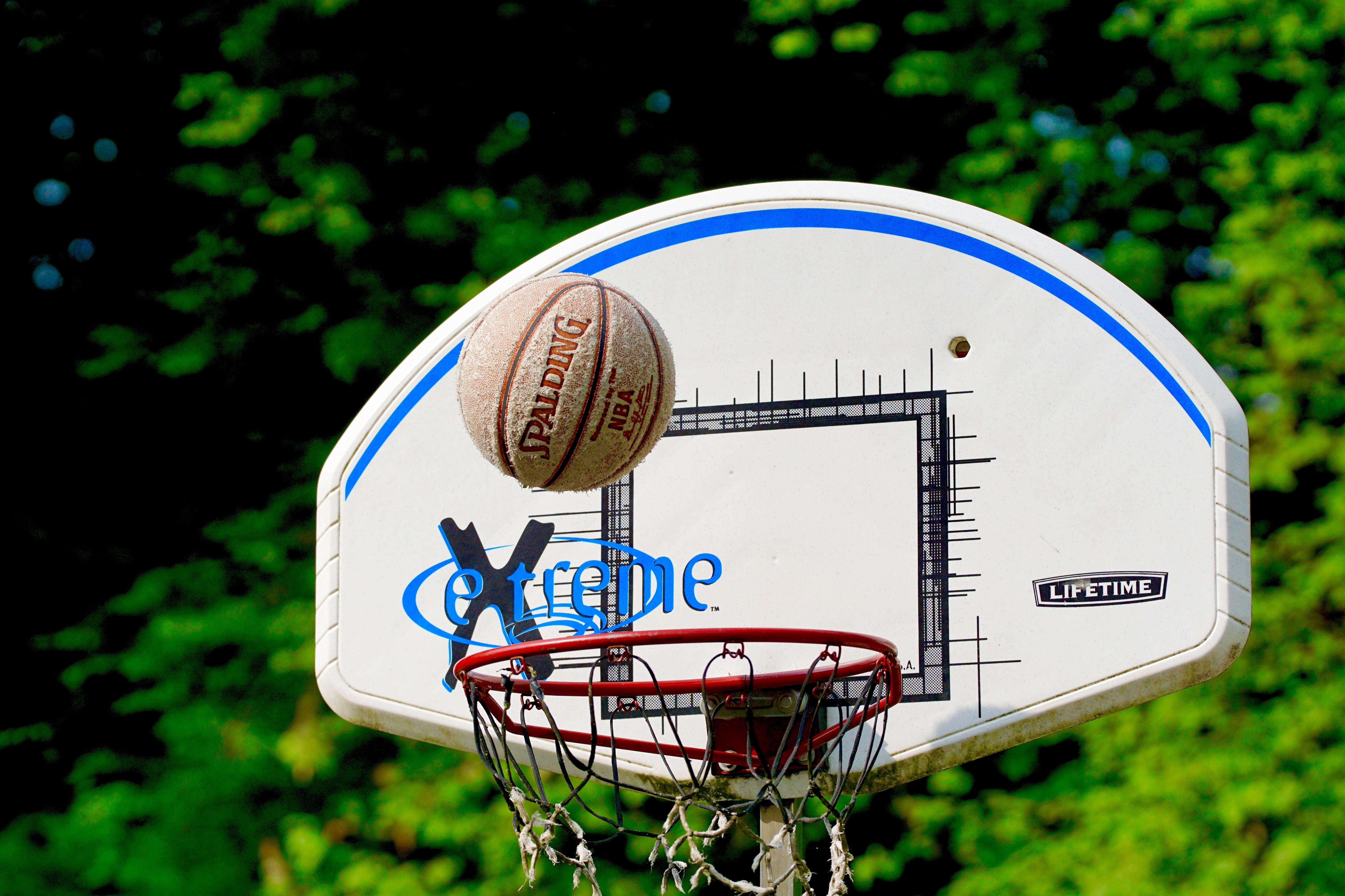 close-up, spalding, geometric shape, metal, brown, basketball - Sport, hits, information, no people, hoop, circle, plant, selective, communication, western script, HD Wallpaper