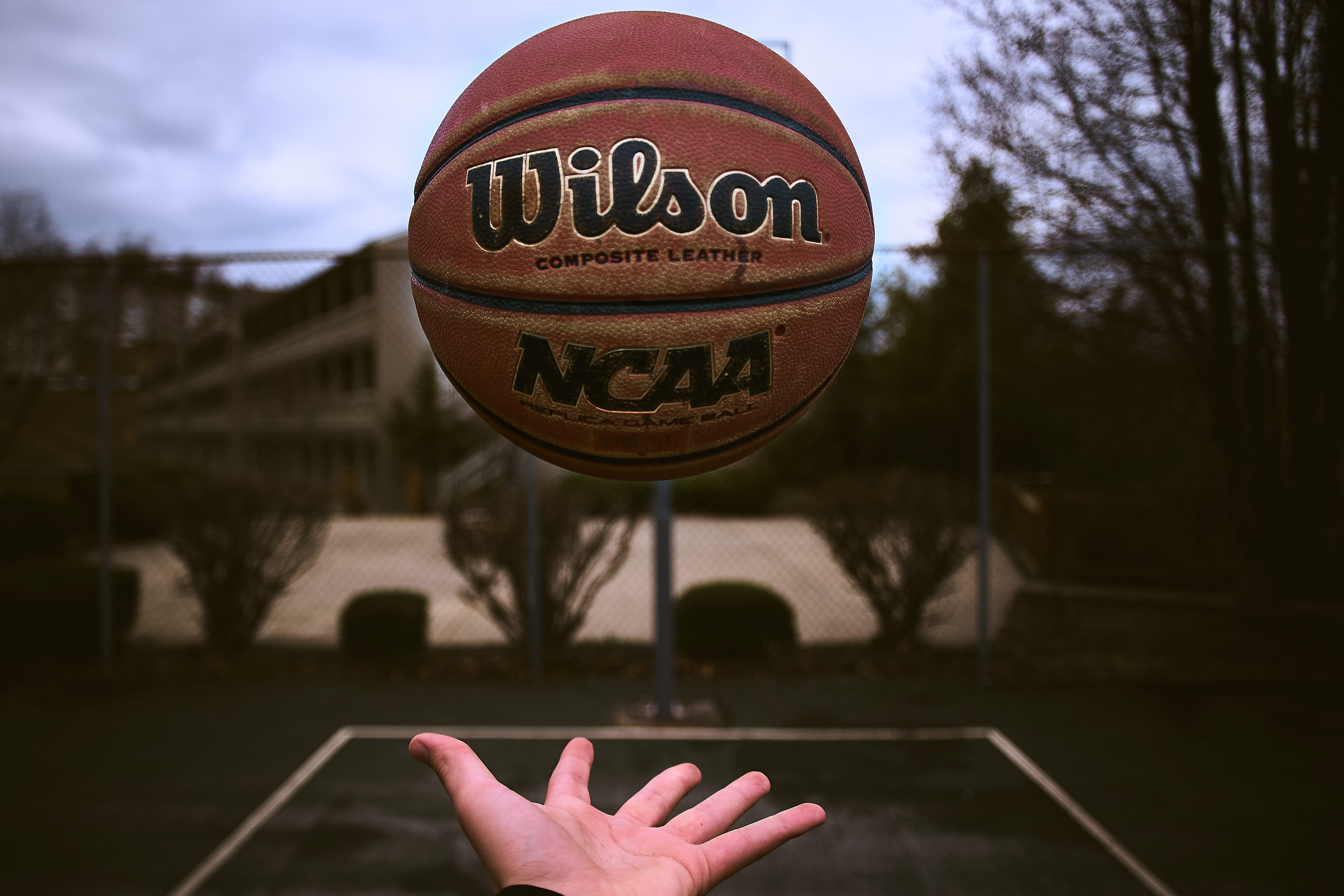 ball, hand, team Sport, people, sign, dark, releasing, levitate, throw, winning, holding, playing, basketball, scoring, sport, close-up, person, sports Team, HD Wallpaper