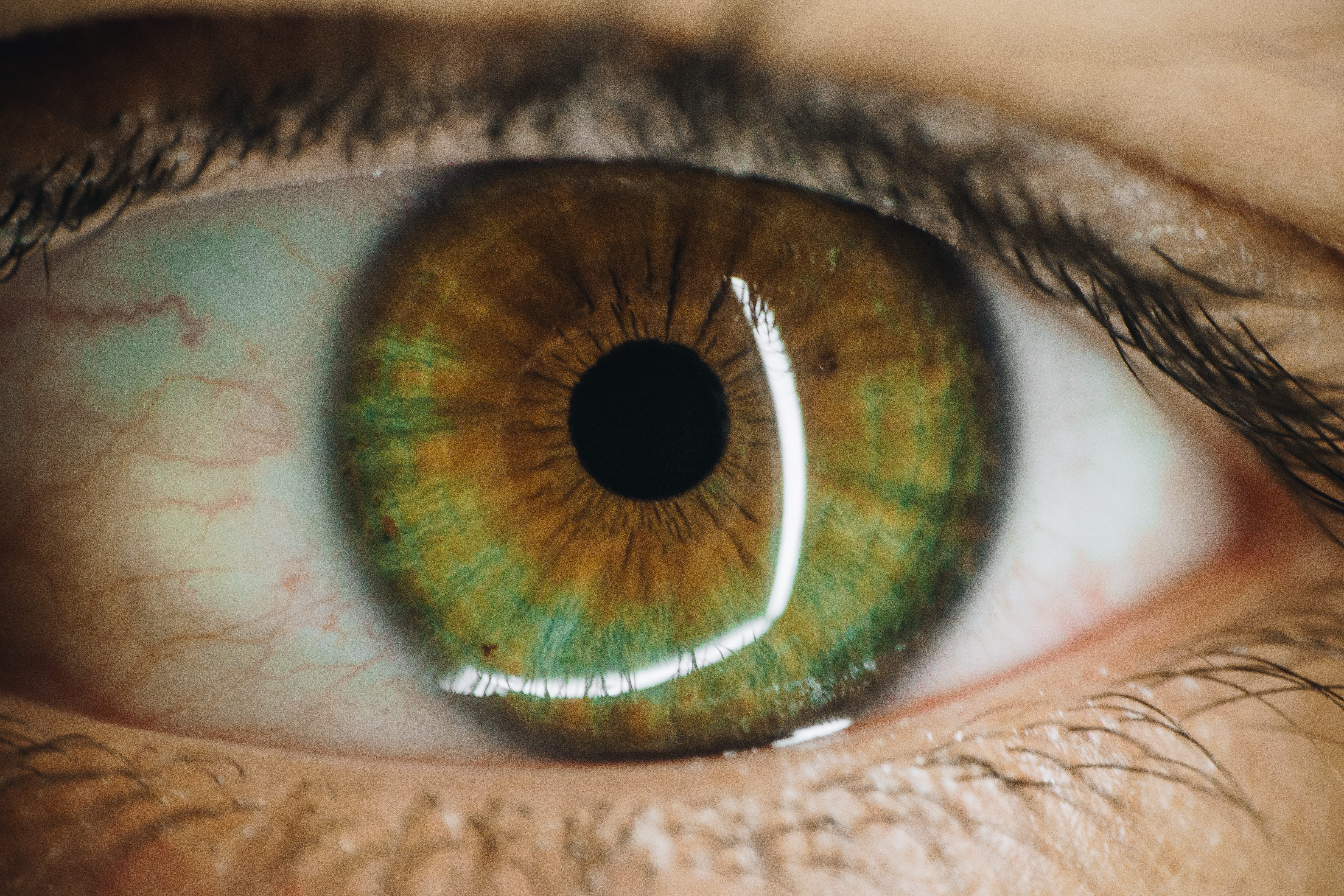 portrait, eyeball, lens, instagram vibe, green, hazel eyes, one person, algeria, reflection, borkino, macro, deep inside, unrecognizable person, eyelash, HD Wallpaper
