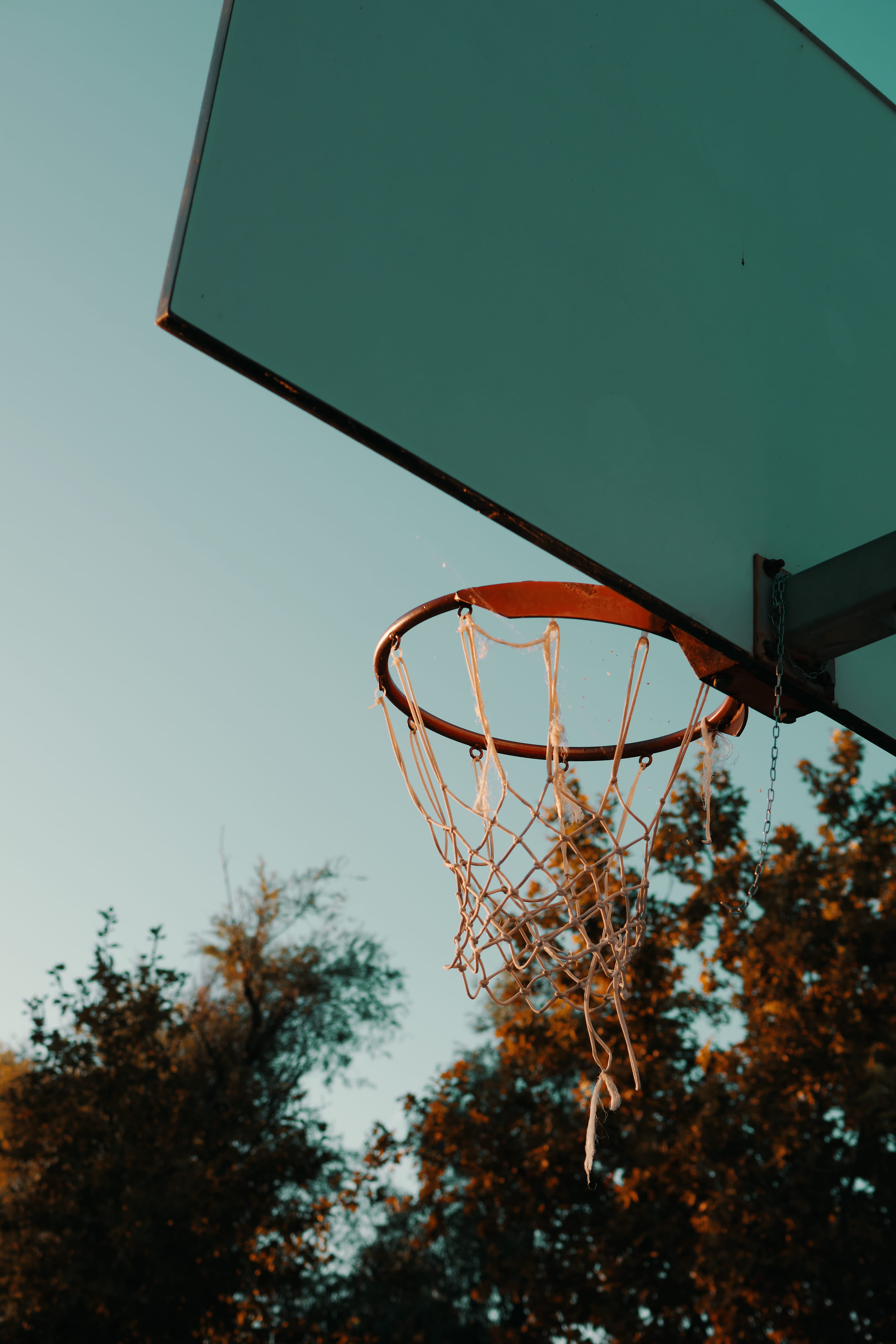 black, hoop, sport, 5K, leisure games, copy space, park, hungary, sky, play, basket, court, vegetation, exercise, sports, clear sky, plant, basketball - ball, Phone HD Wallpaper