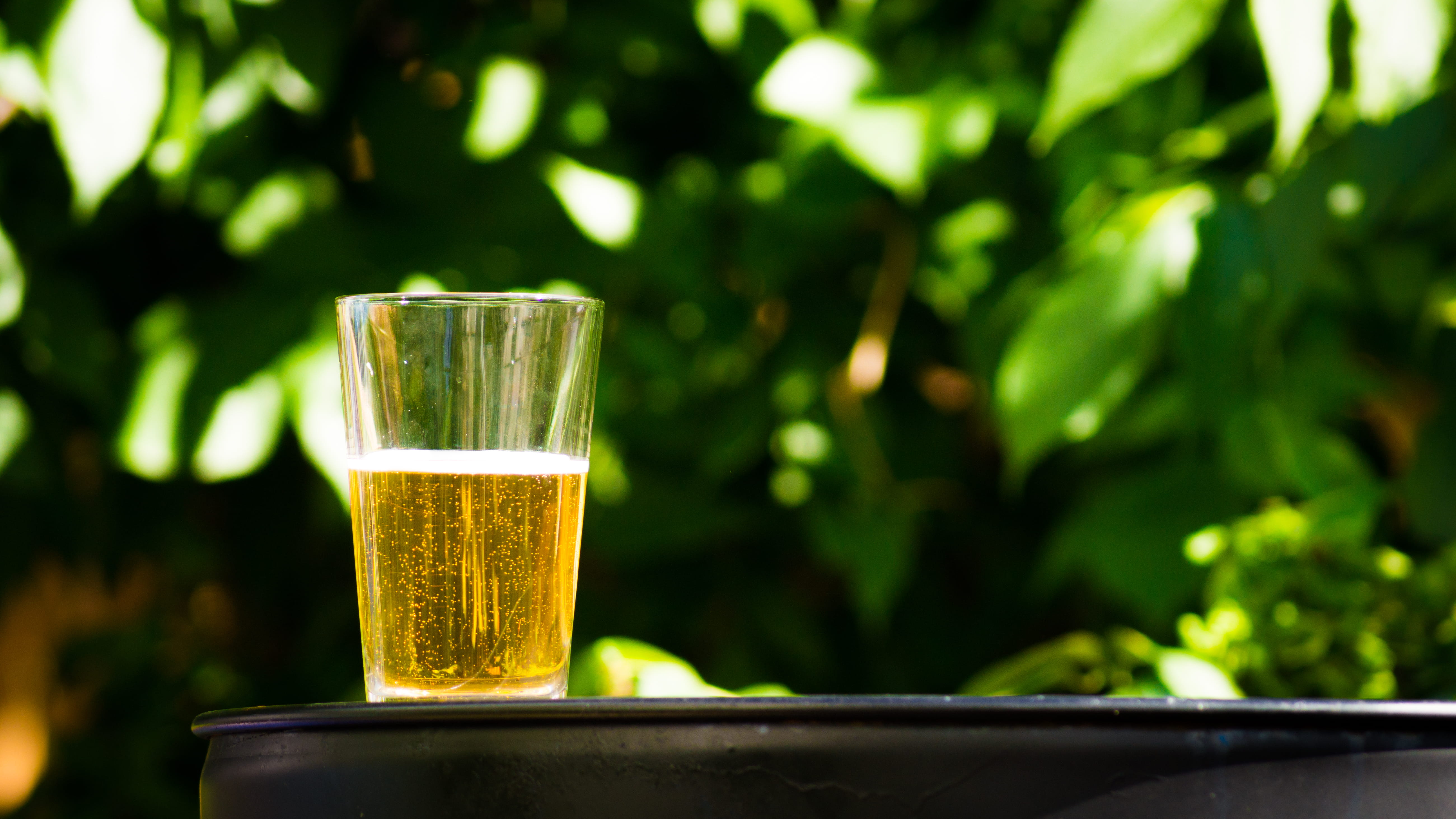 russia, food and drink, leaf, beer, freshness, москва, food, still life, drink, refreshment, focus on foreground, glass, cider, nature, household equipment, HD Wallpaper