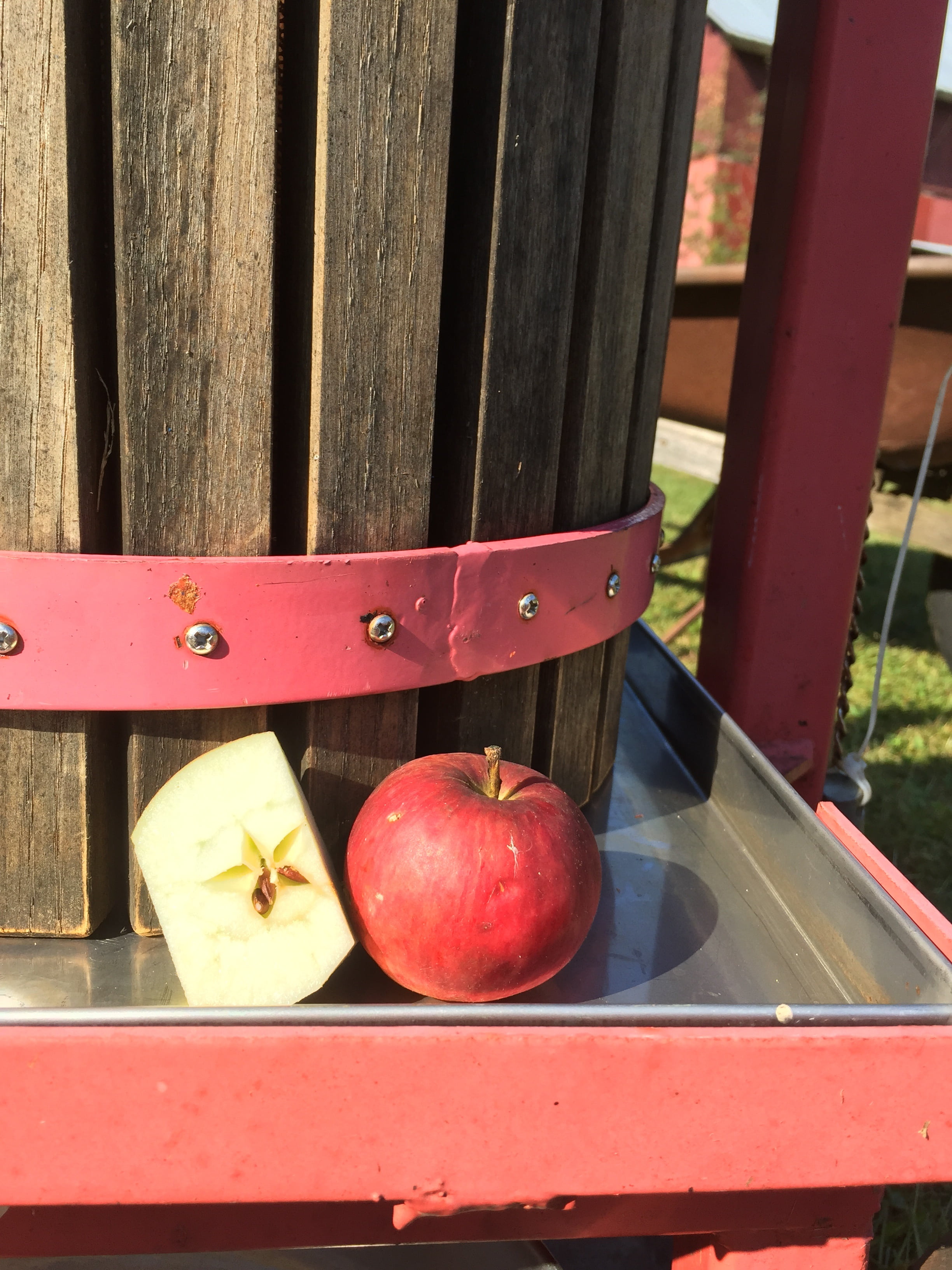 barrier, day, cider, freshness, organic, food, seat, wellbeing, outdoors, apple, wood - material, fall, press, fruit, apple - fruit, no people, healthy eating, Phone HD Wallpaper