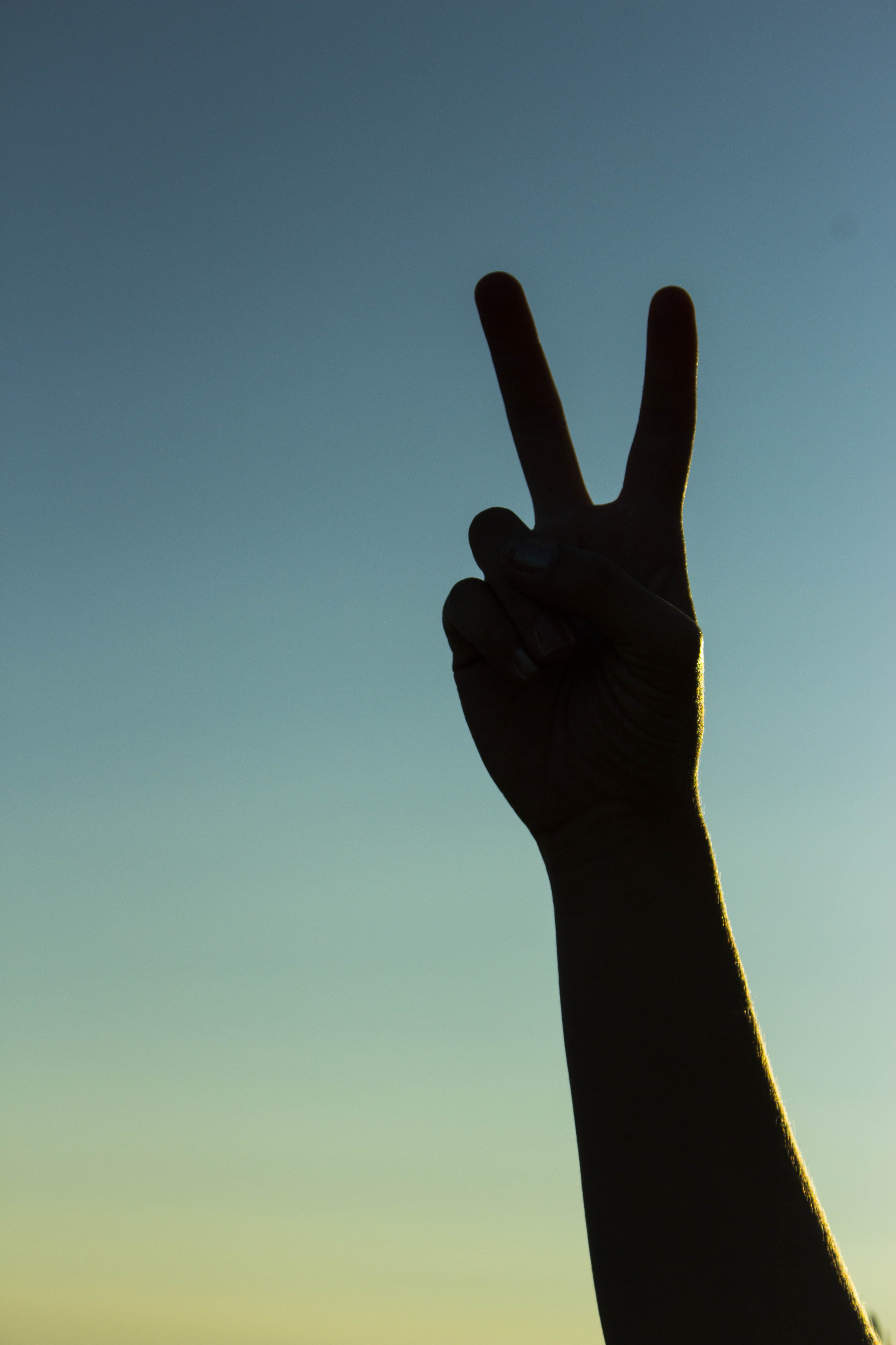 communication, outdoors, human hand, hand raised, hand, human body part, human finger, hand sign, sky, nature, human limb, body part, hands, united states, Phone HD Wallpaper