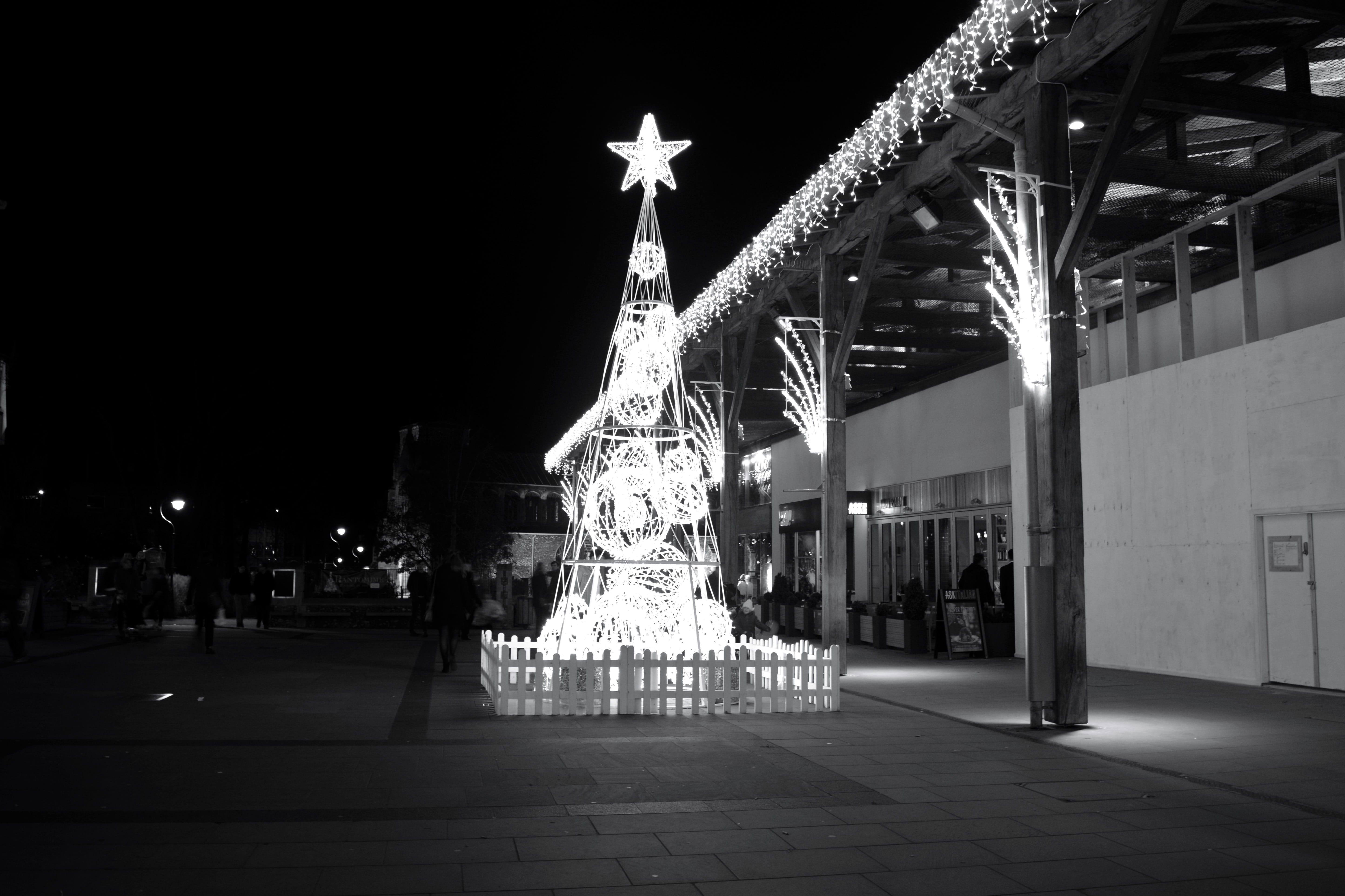 christmas decoration, lights, christmas ornament, christmas, tree, norwich, event, building exterior, festival, architecture, illuminated, built structure, HD Wallpaper
