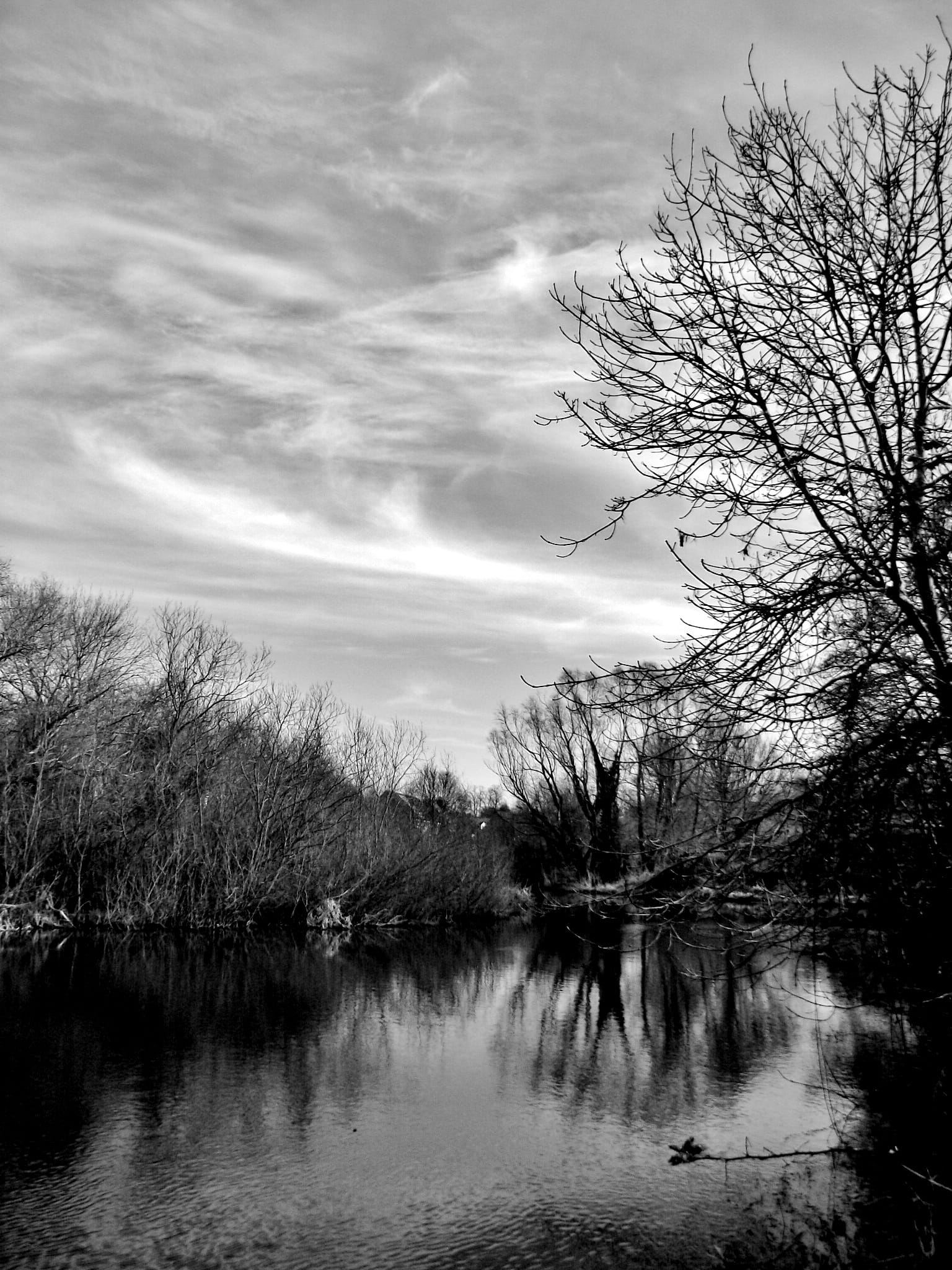 nature, branch, landscape, trees, scenics - nature, non-urban scene, outdoors, bare tree, norwich, waterfront, norfolk, wilderness, beauty in nature, branches, Phone HD Wallpaper