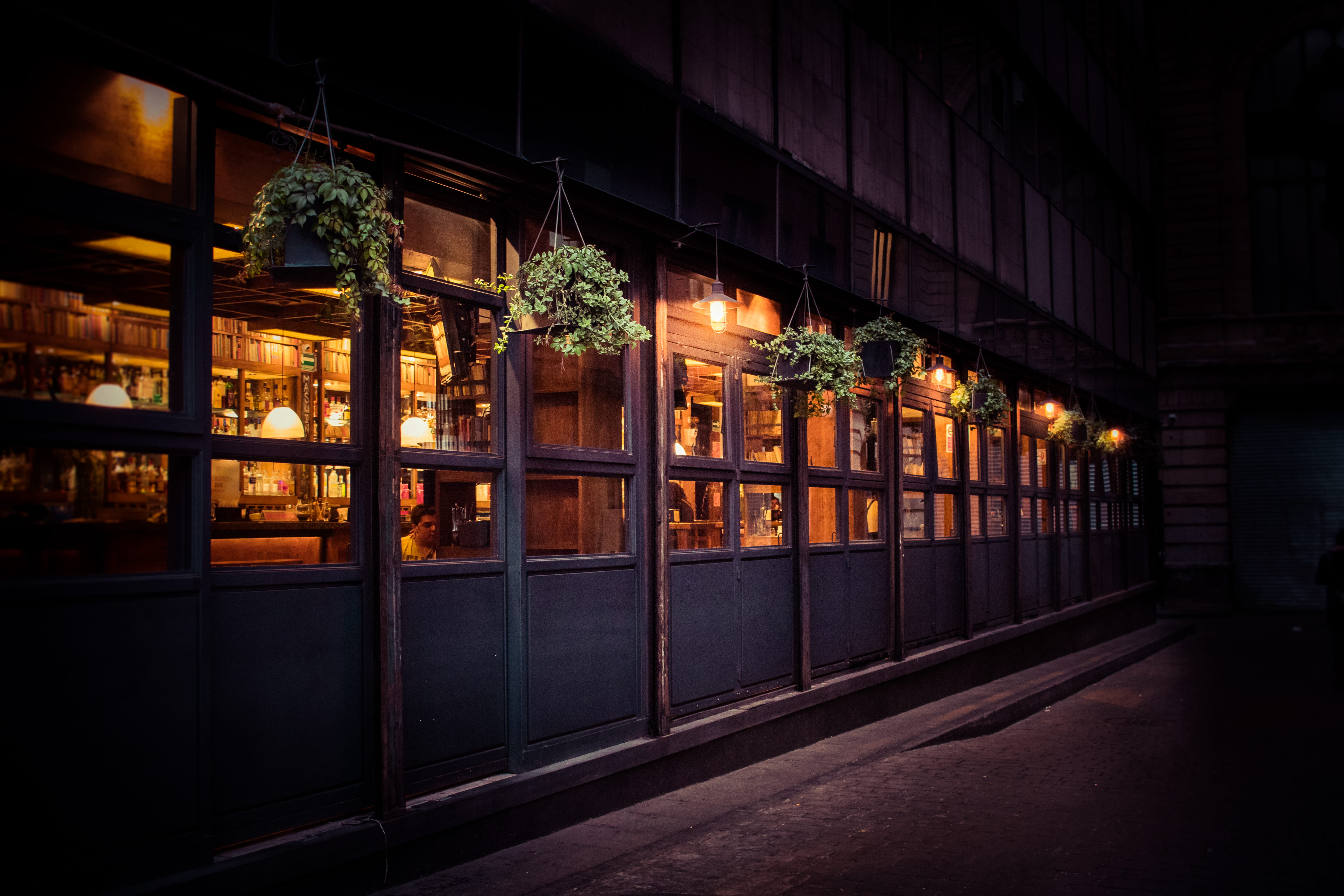 plant, footpath, city, built structure, sidewalk, no people, lighting equipment, hanging, transportation, plants, illuminated, travel, street photography, HD Wallpaper