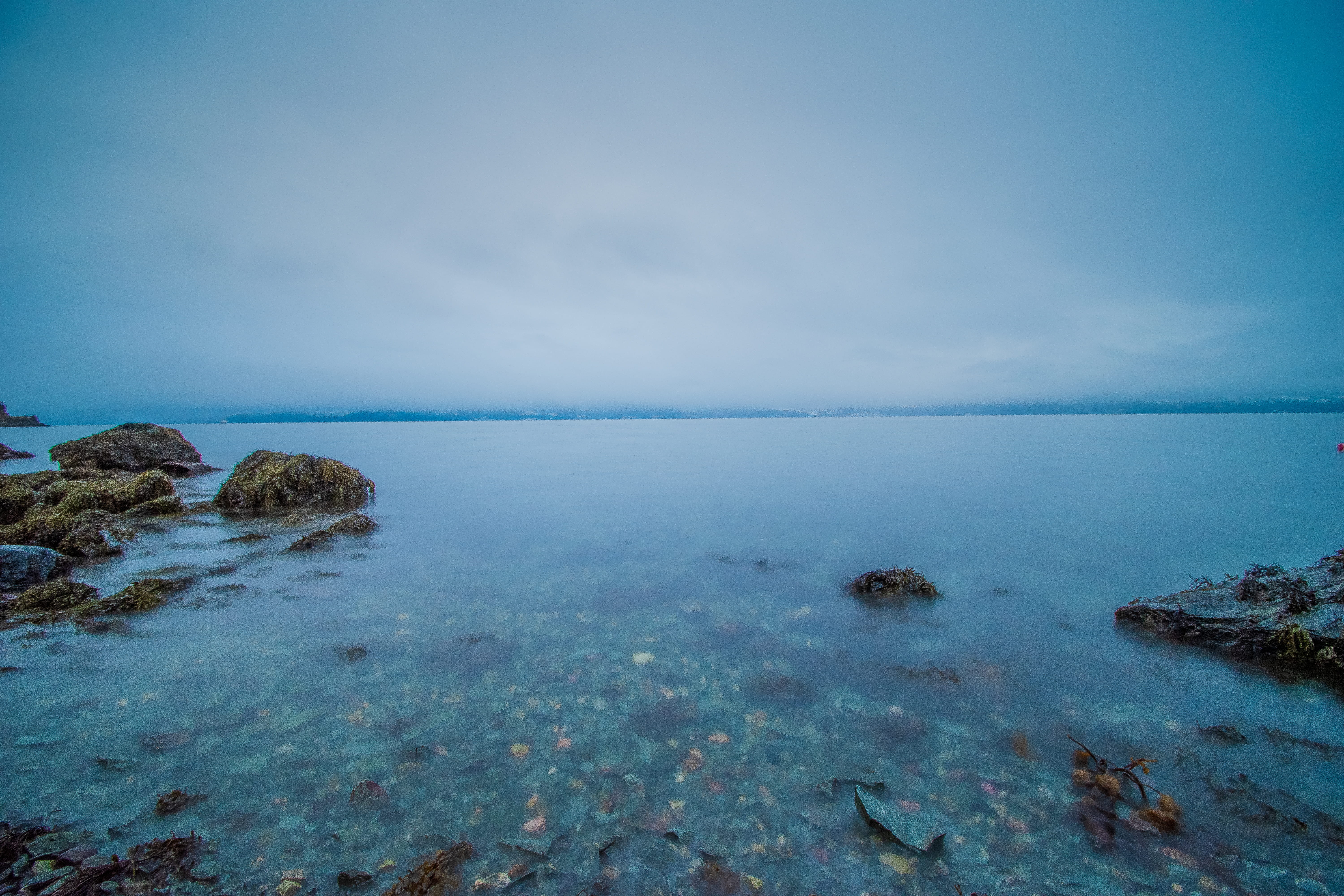 brown, architecture, blue, tranquil scene, clam, land, sky, coast, promontory, animal, tranquility, cloud - sky, beauty in nature, tower, rock, sea life, HD Wallpaper
