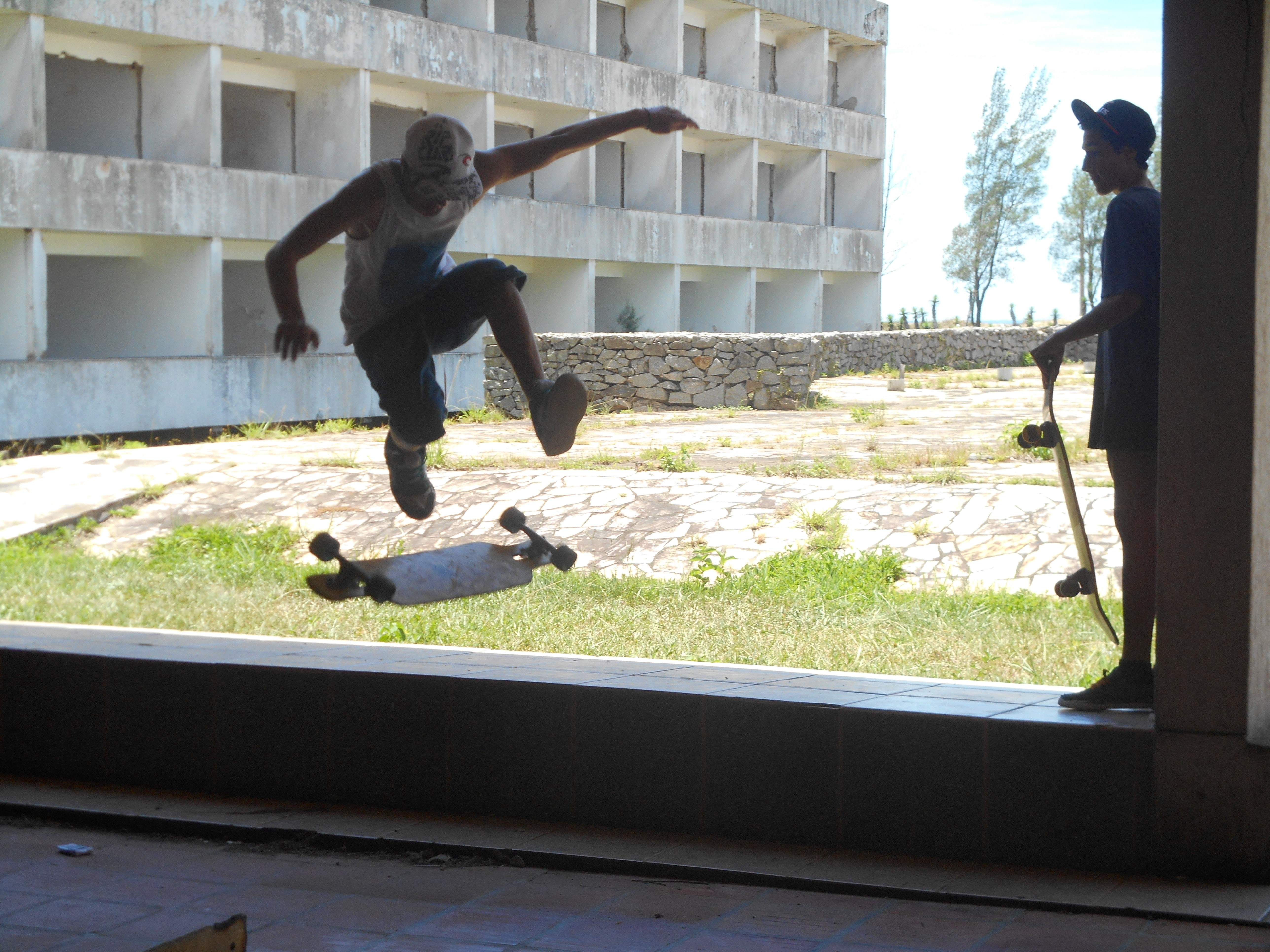 vertebrate, group of animals, animal, architecture, animal themes, day, real people, 5K, young adult, nature, human arm, longboard, jumping, built structure, HD Wallpaper