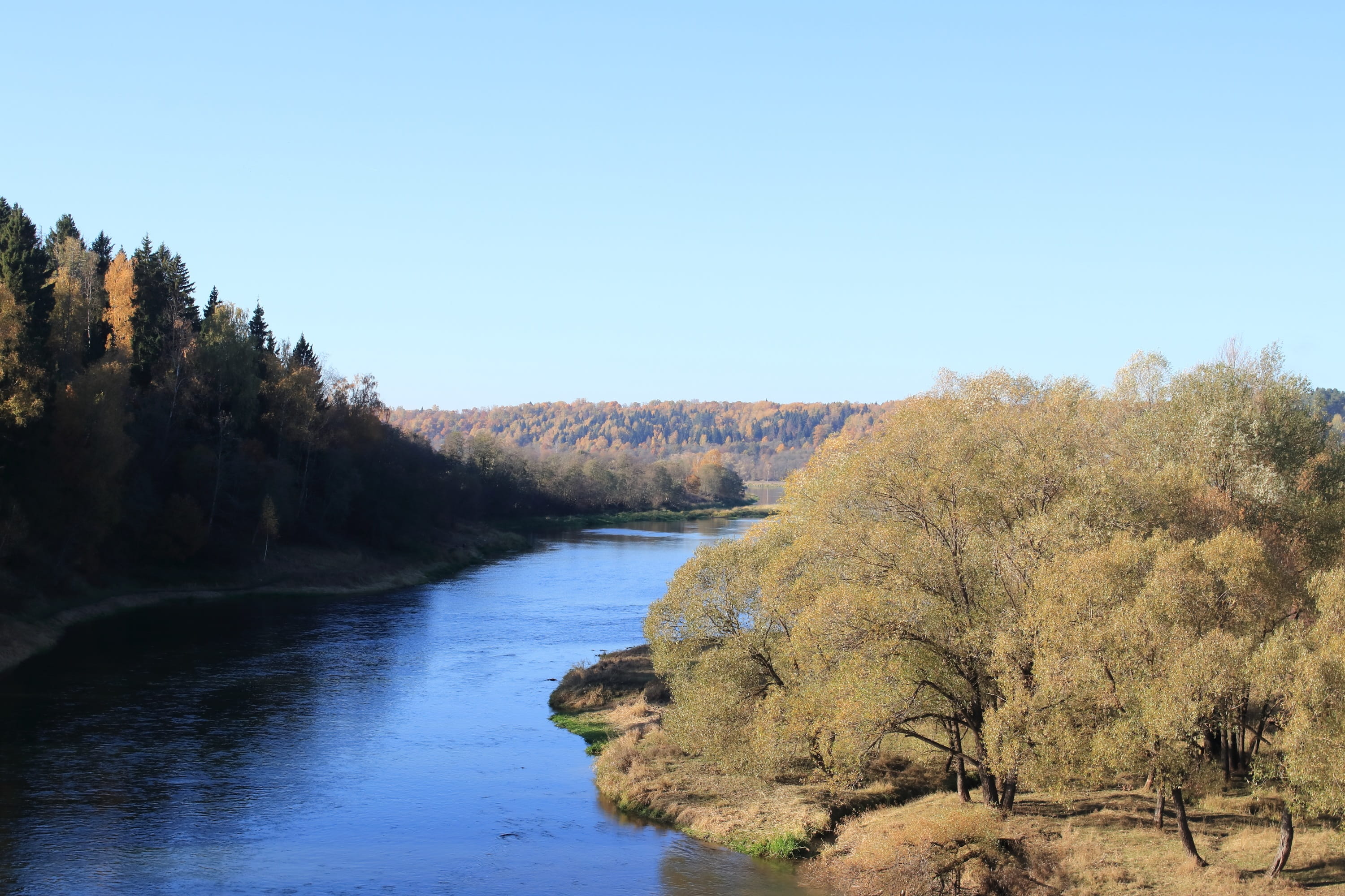 nature, water, growth, tranquil scene, blue, sky, land, 2K, autumn, shadow, moscow region, clear sky, day, tranquility, outdoors, plant, non-urban scene, HD Wallpaper