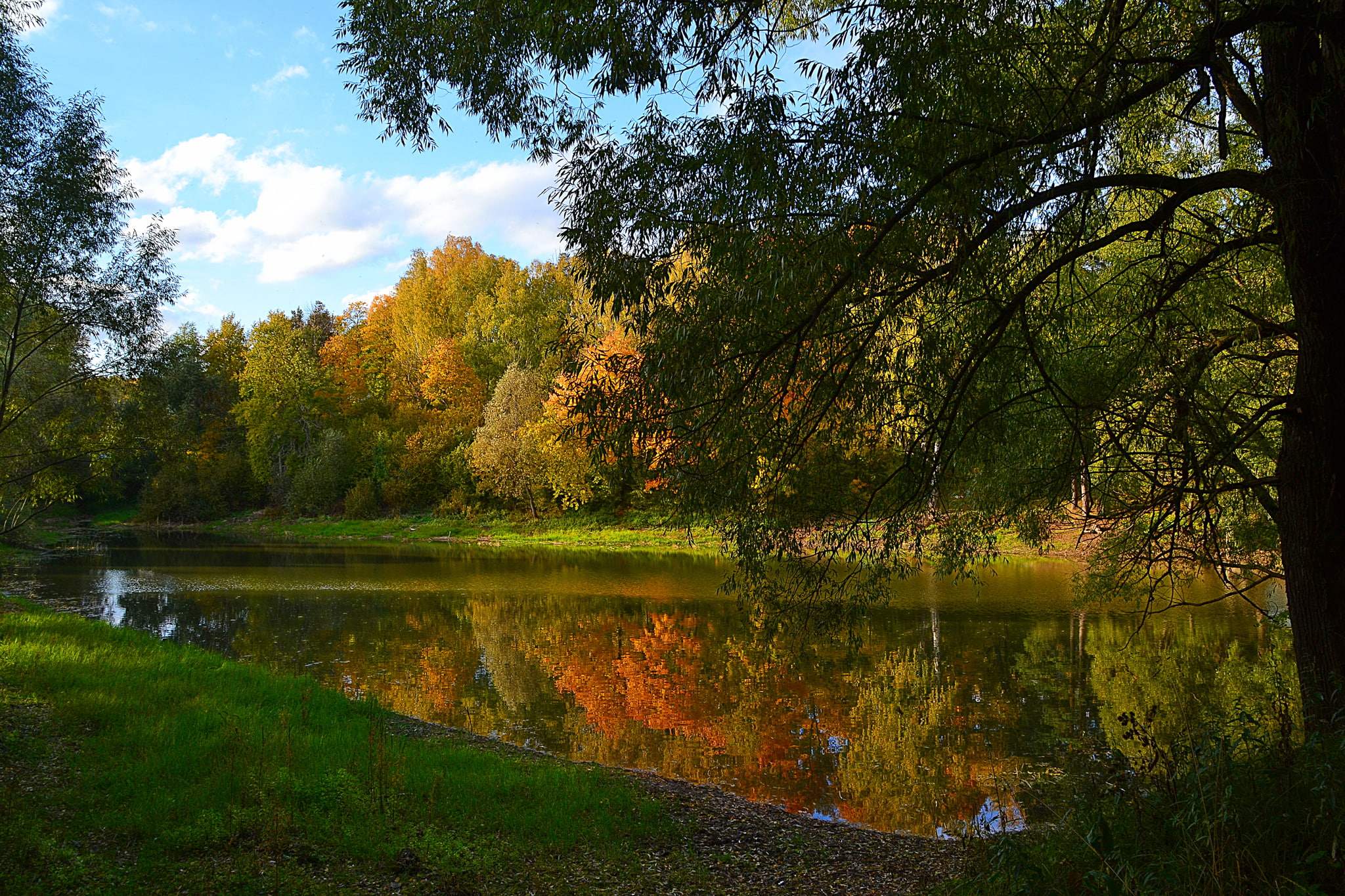 region, moscow, lake, branches, 539288, 2048x1365, forests, russia, autumn, 1080P, HD Wallpaper
