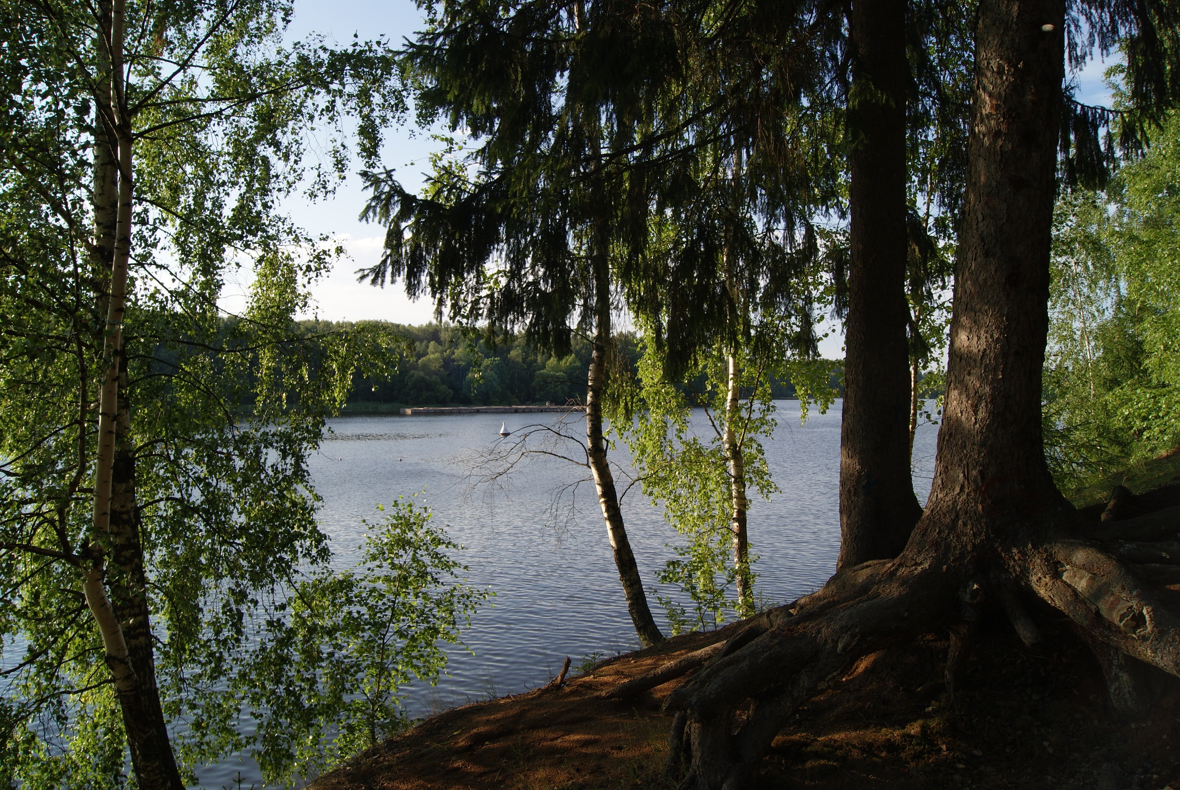 pestovo reservoir, tranquility, trees, summer, moscow region, no people, water, landscape, tree, lake, non-urban scene, land, growth, lake of the woods, HD Wallpaper