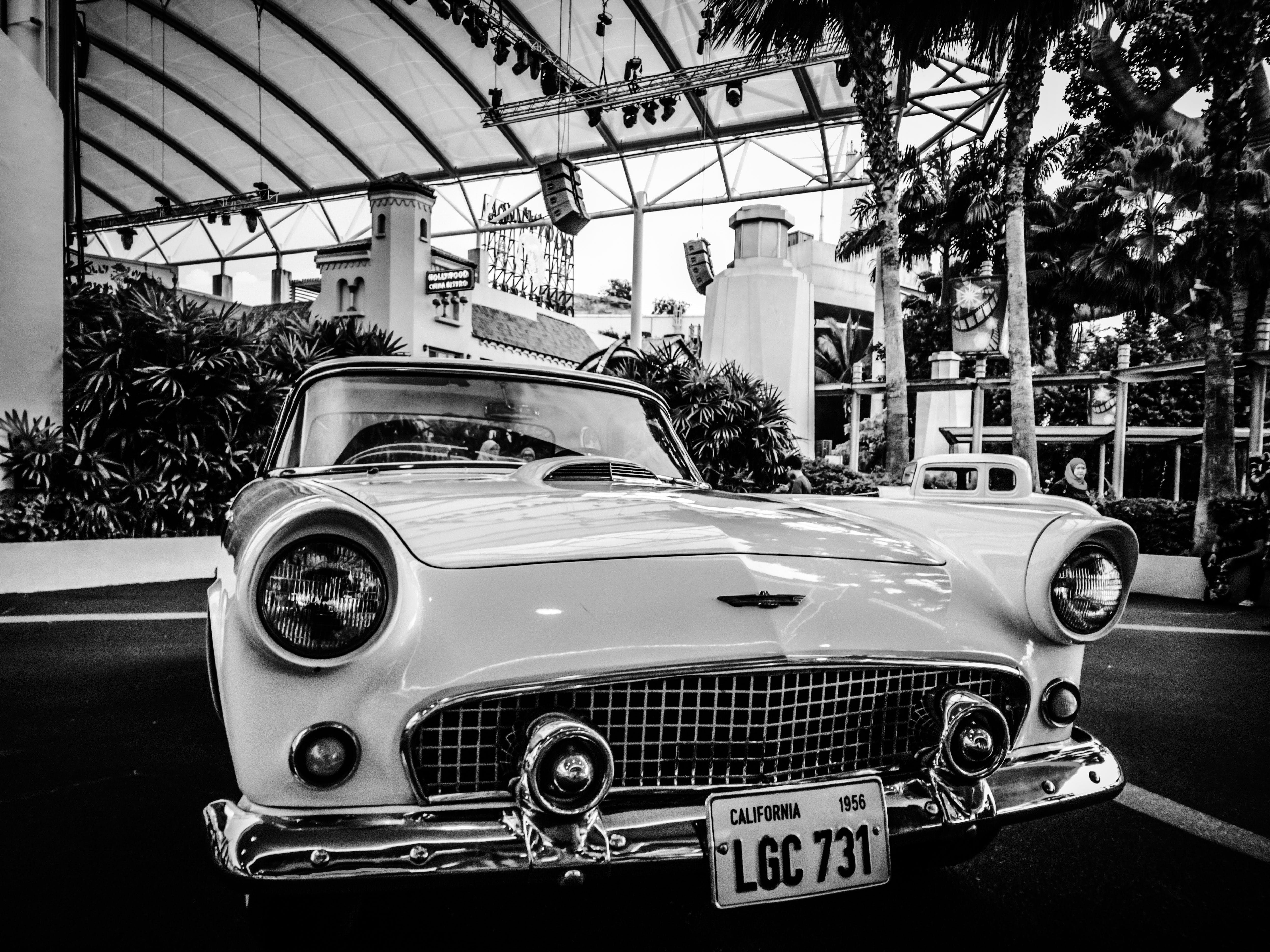 city, vehicle, photo, retro styled, nostalgia, day, 4K, building, plant, transportation, no people, classic, grayscale, motor vehicle, transport, black and white, HD Wallpaper