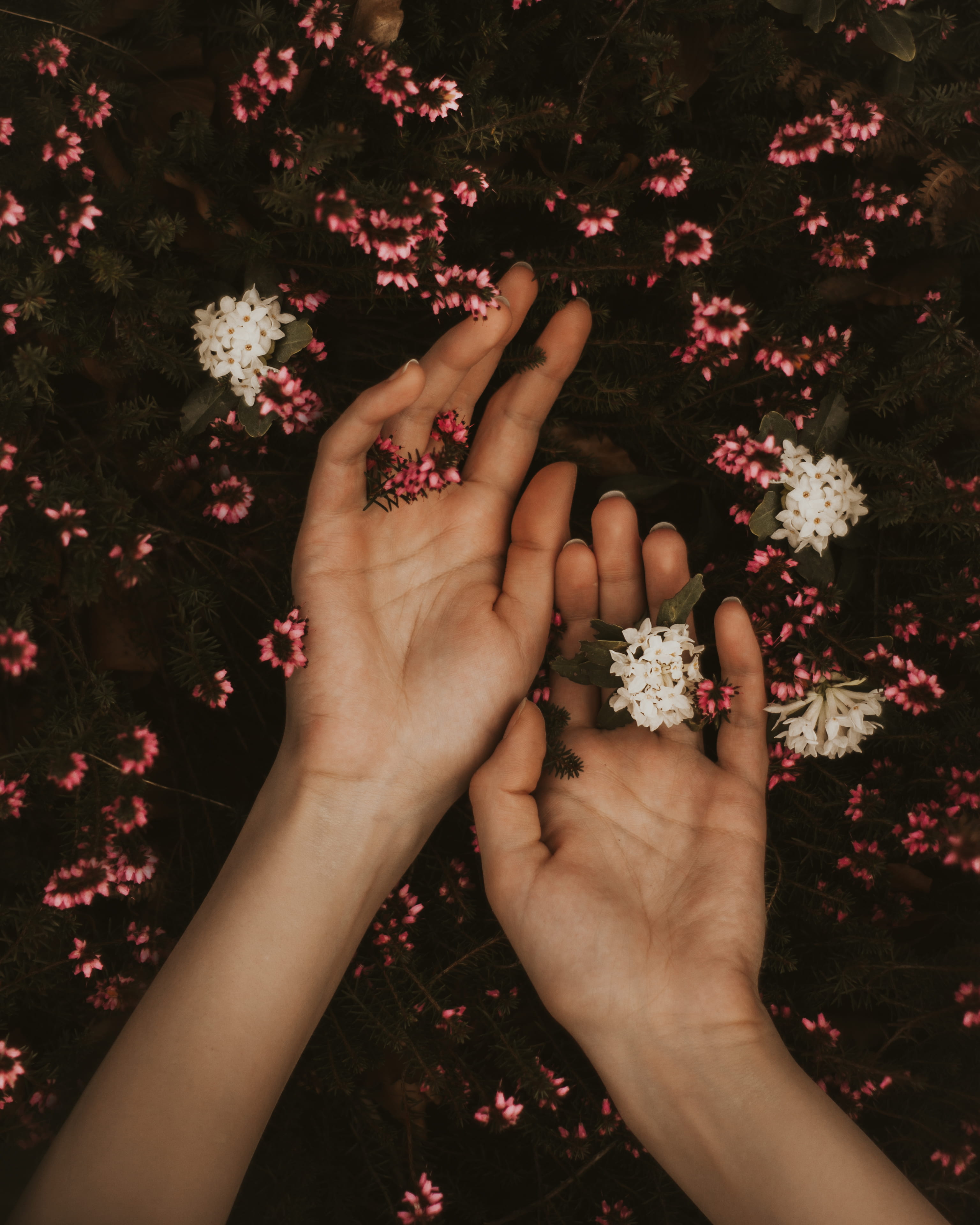 moody, high angle view, plant, feel, flower, women, globe, feeling, flowering plant, connection, mood, nature, human body part, indie, one person, personal perspective, Phone HD Wallpaper