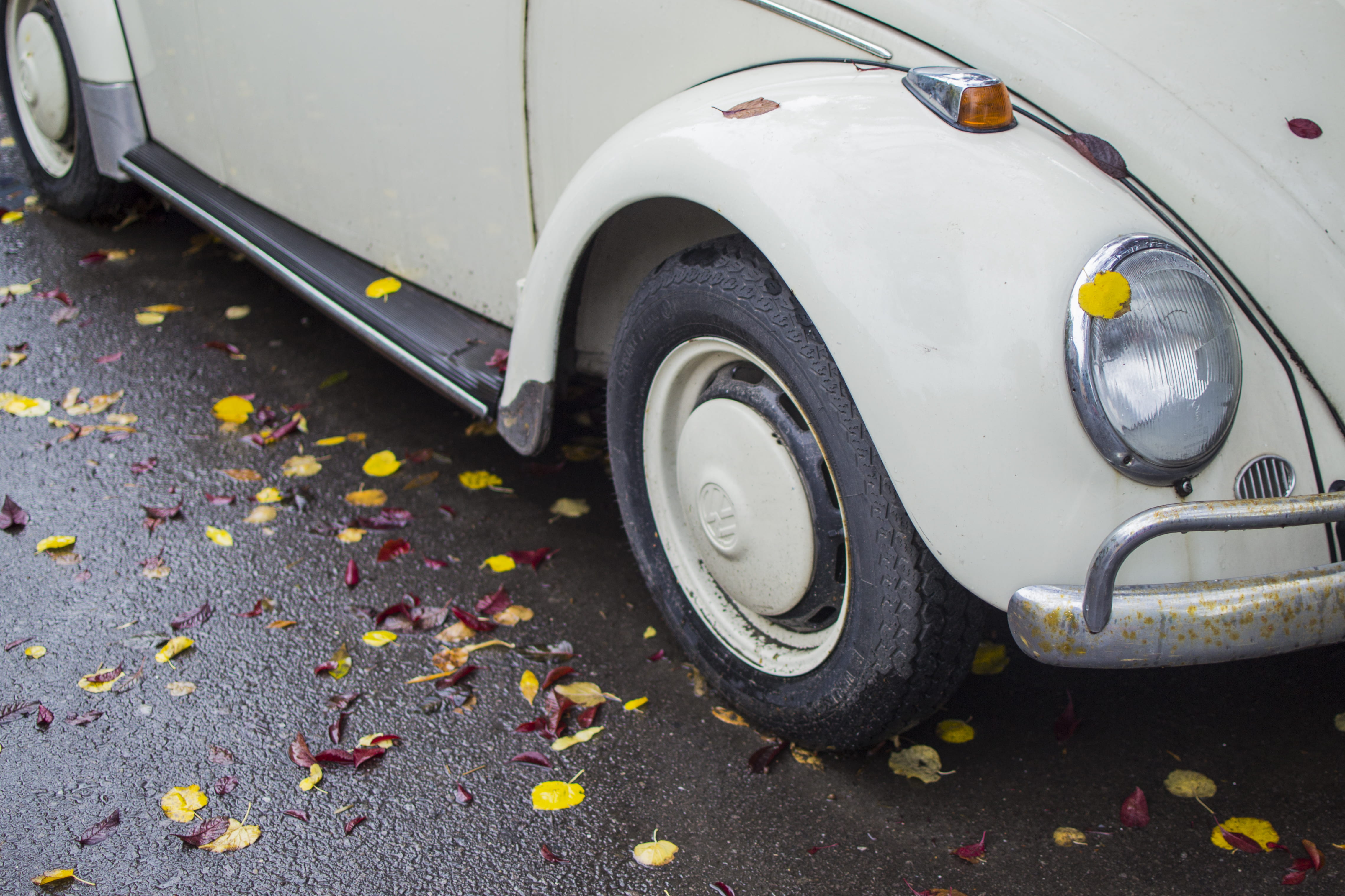 4K, classic, autumn, city, nature, tire, automobile, tyres, wheel, leaves, road, mode of transportation, leaf, land vehicle, outdoors, falling, car, plant part, HD Wallpaper